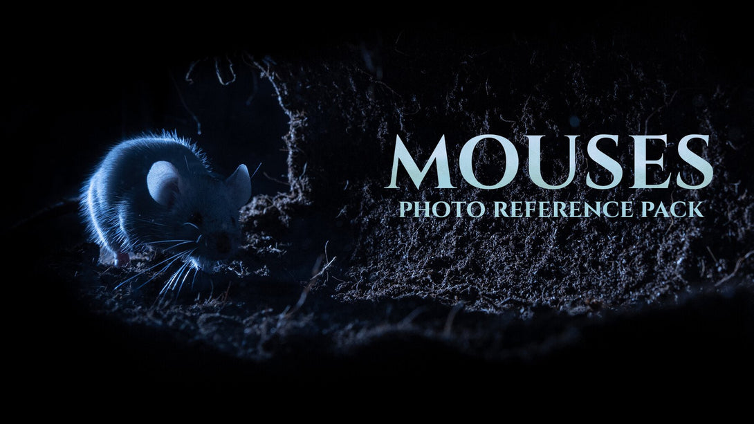Mouse Reference Photo Mice - Photo Reference Pack For Artists 357 JPEGs – S3ART Store