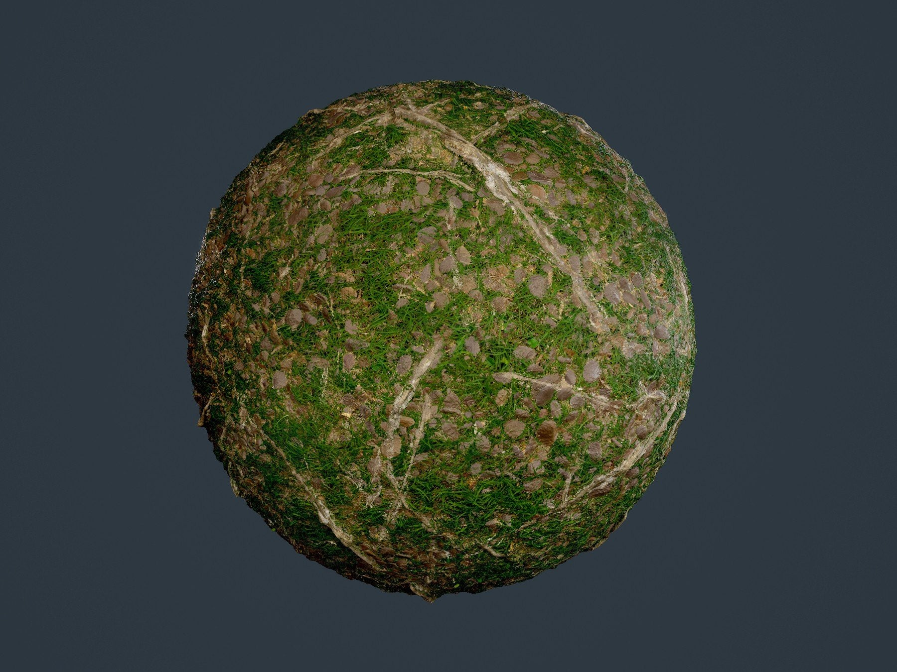Forest Ground Tree Roots Seamless PBR Texture 16 – S3ART Store