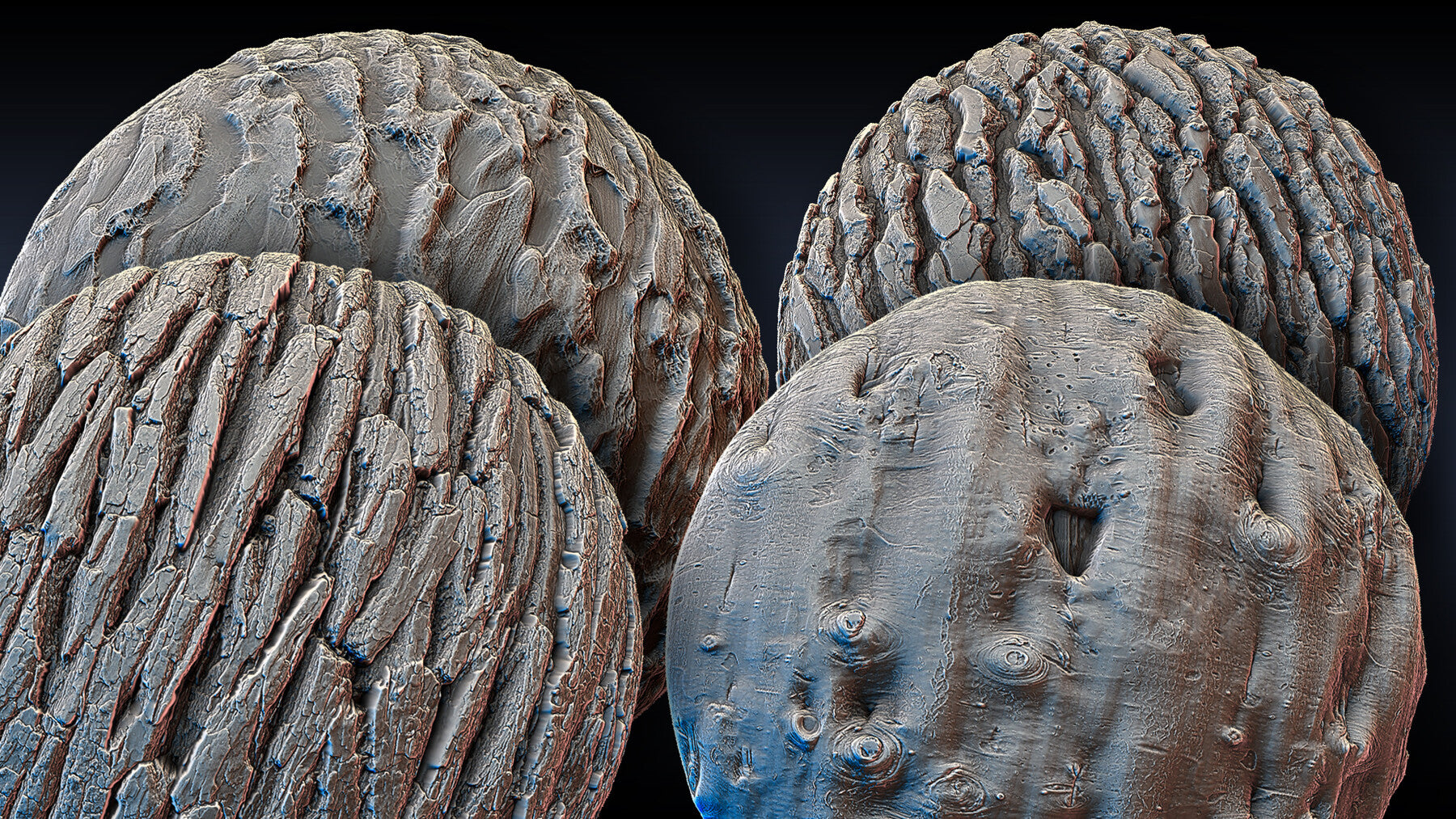 Ultra HQ Tree Bark Seamless Sculpt Zbrush brushes + Alphas (Blender, Substance, etc.) Vol.1