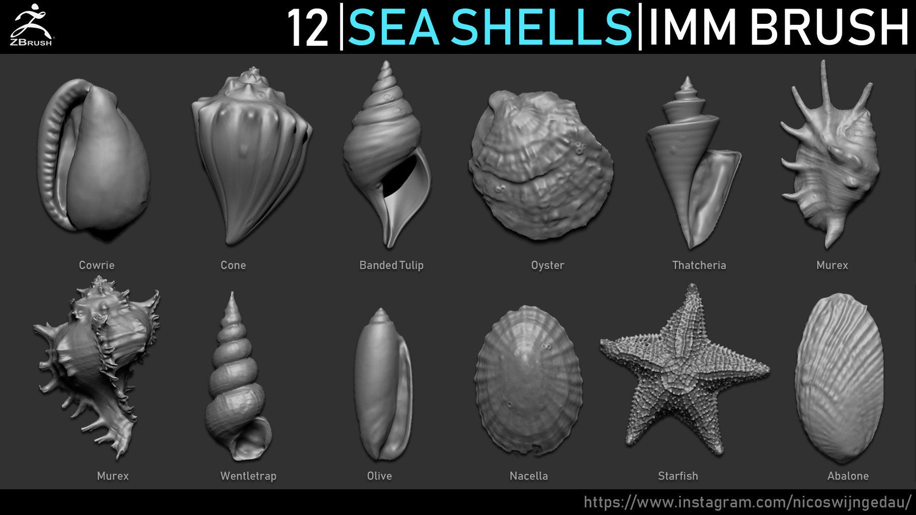 Zbrush - 12 Seashells IMM Brush