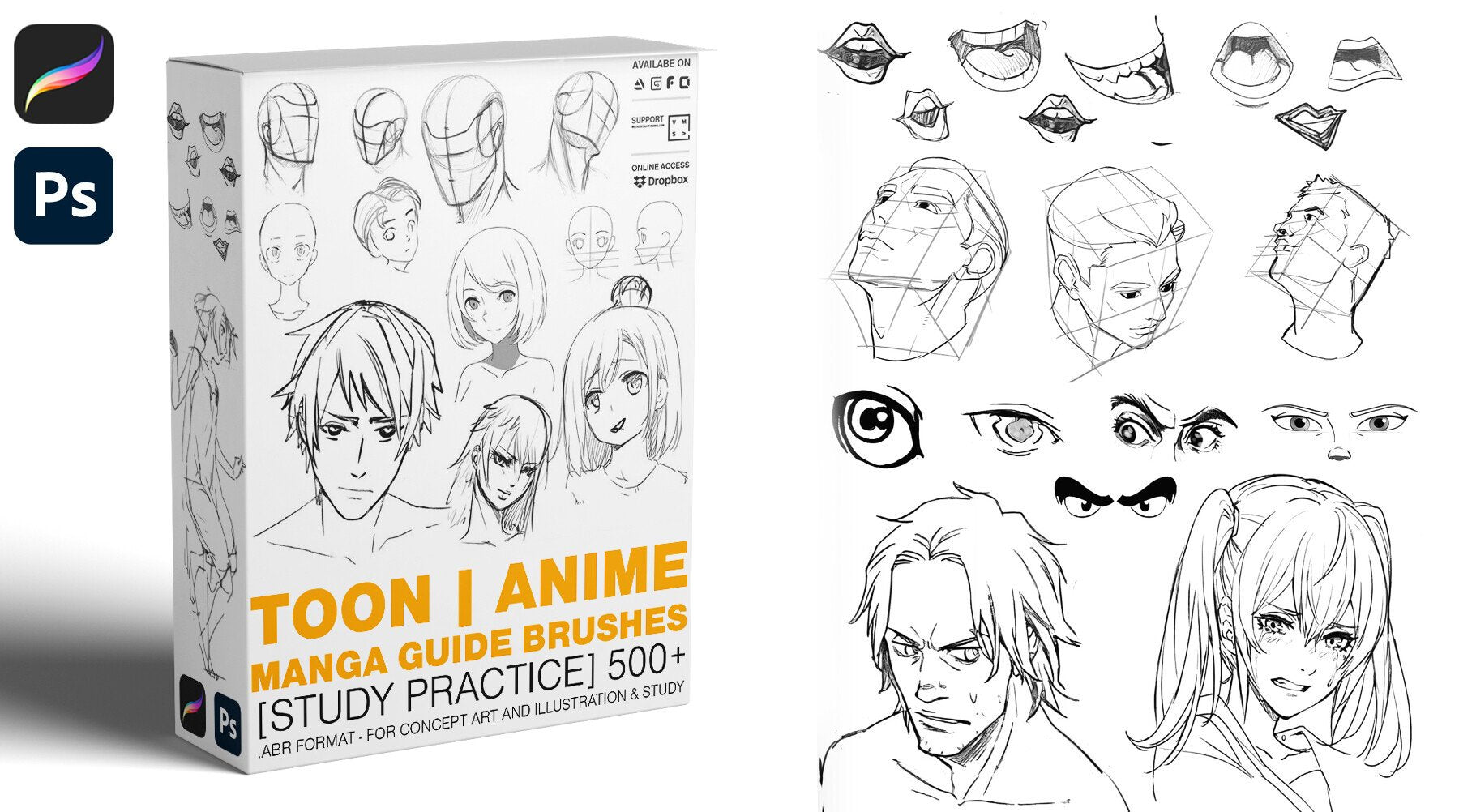 ANIME MANGA GUIDE BRUSHES [500+STUDY PRACTICE]