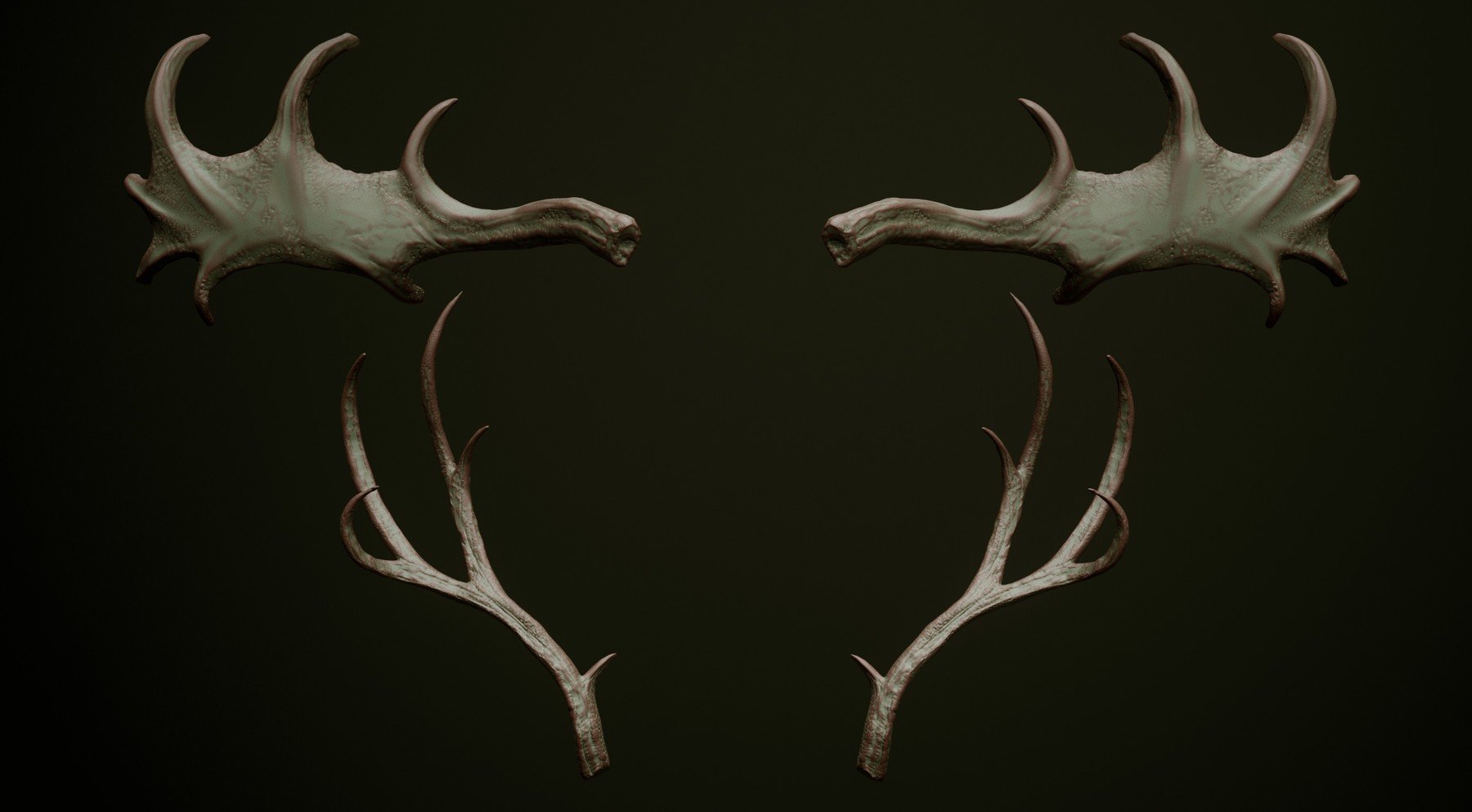 HORNS - 60 Horns, Antlers, Frills & Horn Sockets IMM + VDM