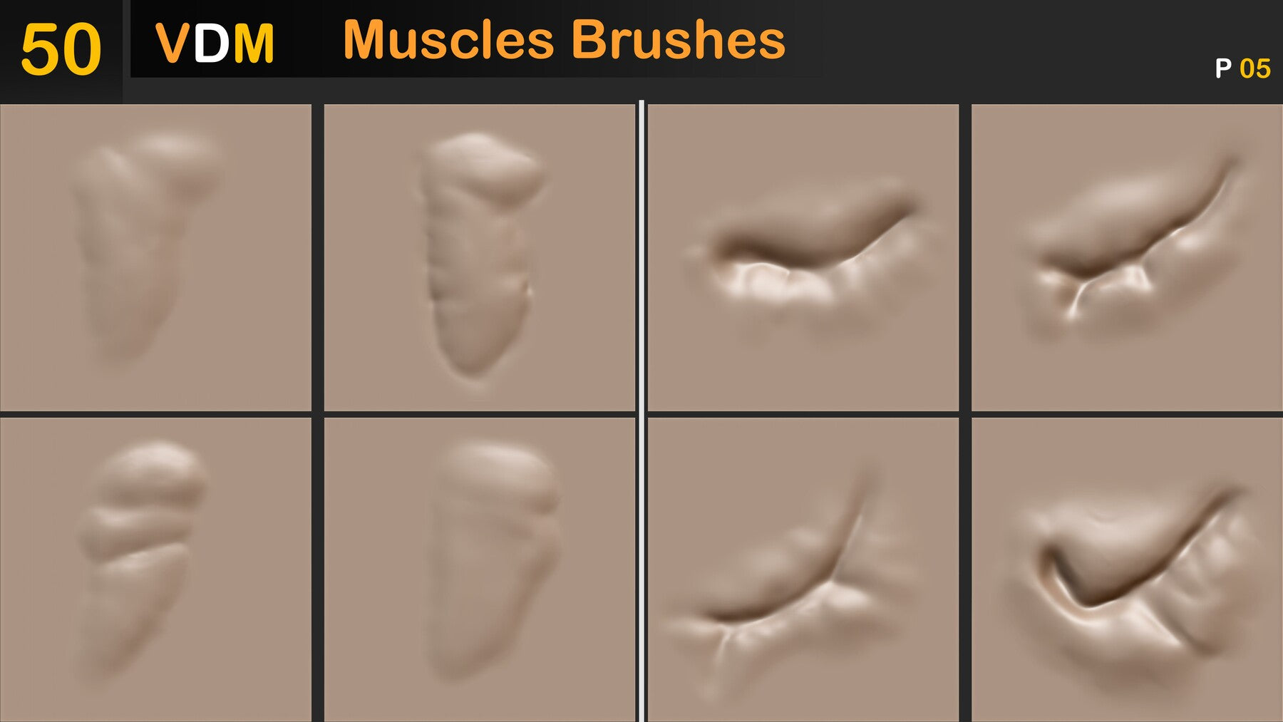 Muscles Brushes ( VDM ) Vol 02