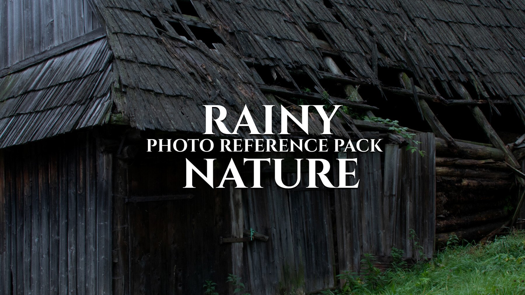 Rainy Nature - Photo Reference Pack For Artists 180 JPEGs