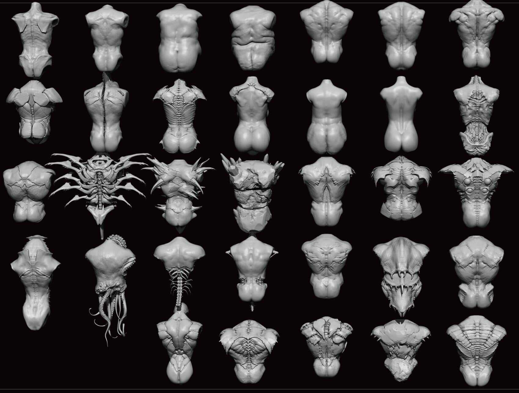 TORSOS - 33 Character & Creature Zbrush Insertmesh Brush