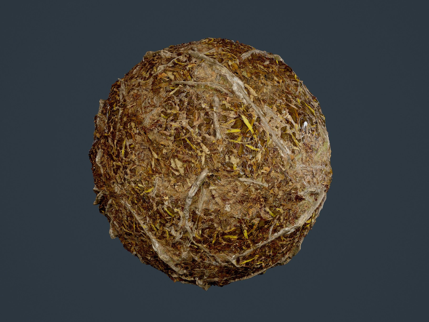 Forest Ground Tree Roots Seamless PBR Texture 19 – S3ART Store