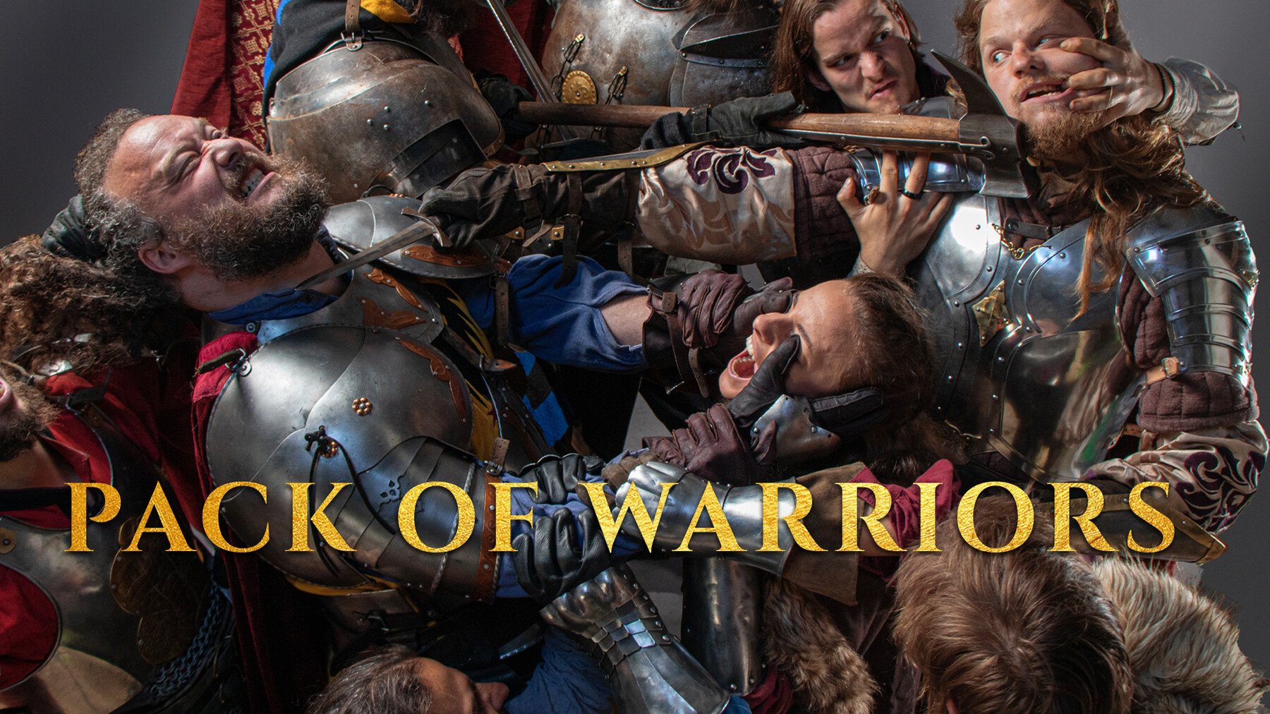 Pack of Warriors - Reference photo pack for artists (Knights & Musketeers)