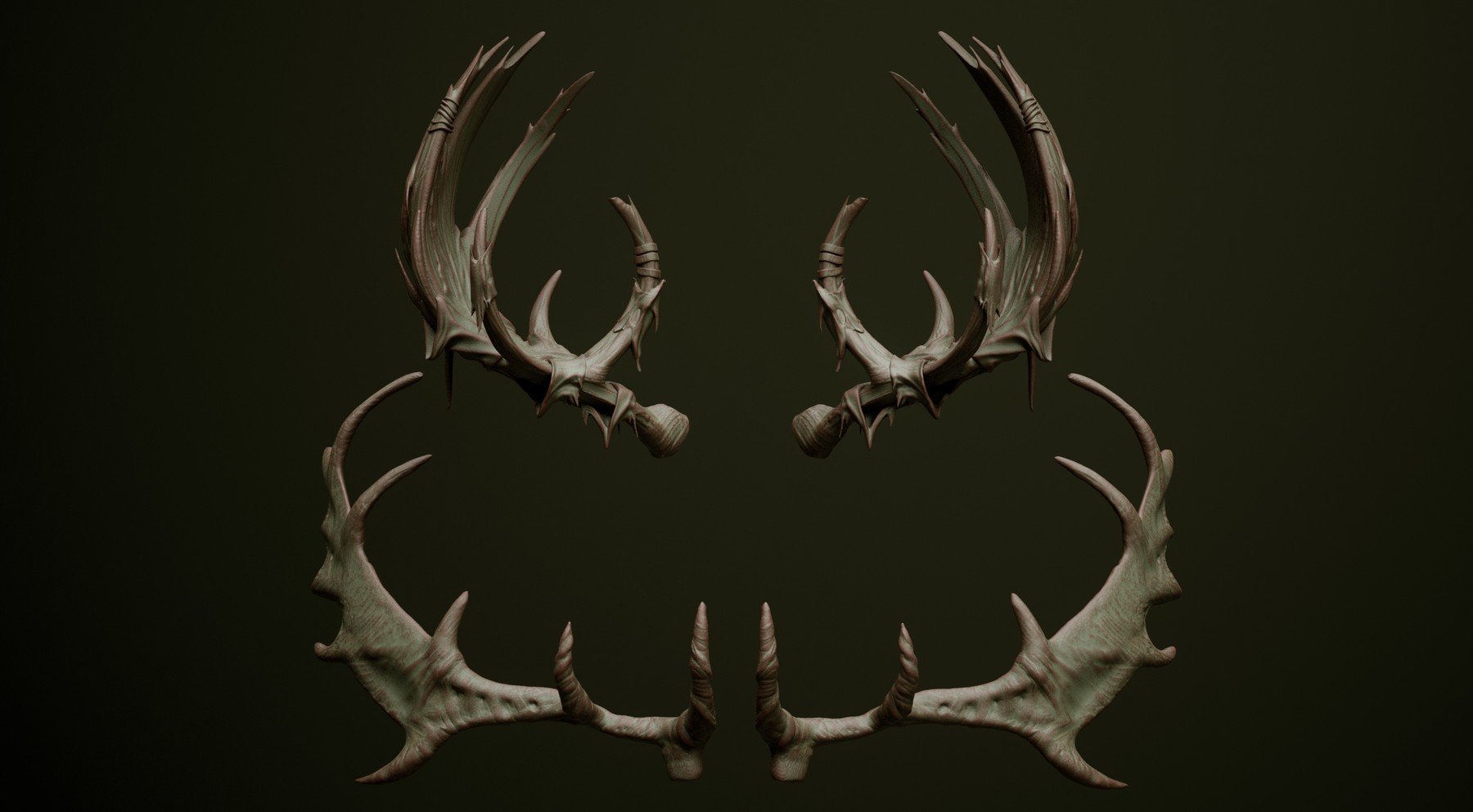 HORNS - 60 Horns, Antlers, Frills & Horn Sockets IMM + VDM