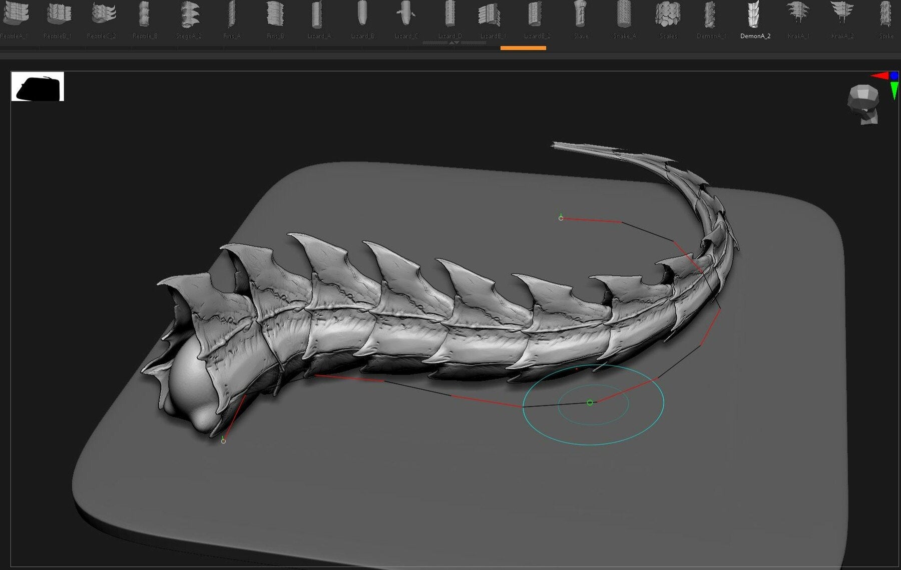 TAILS - 33 Tail Meshes & Curve Brushes