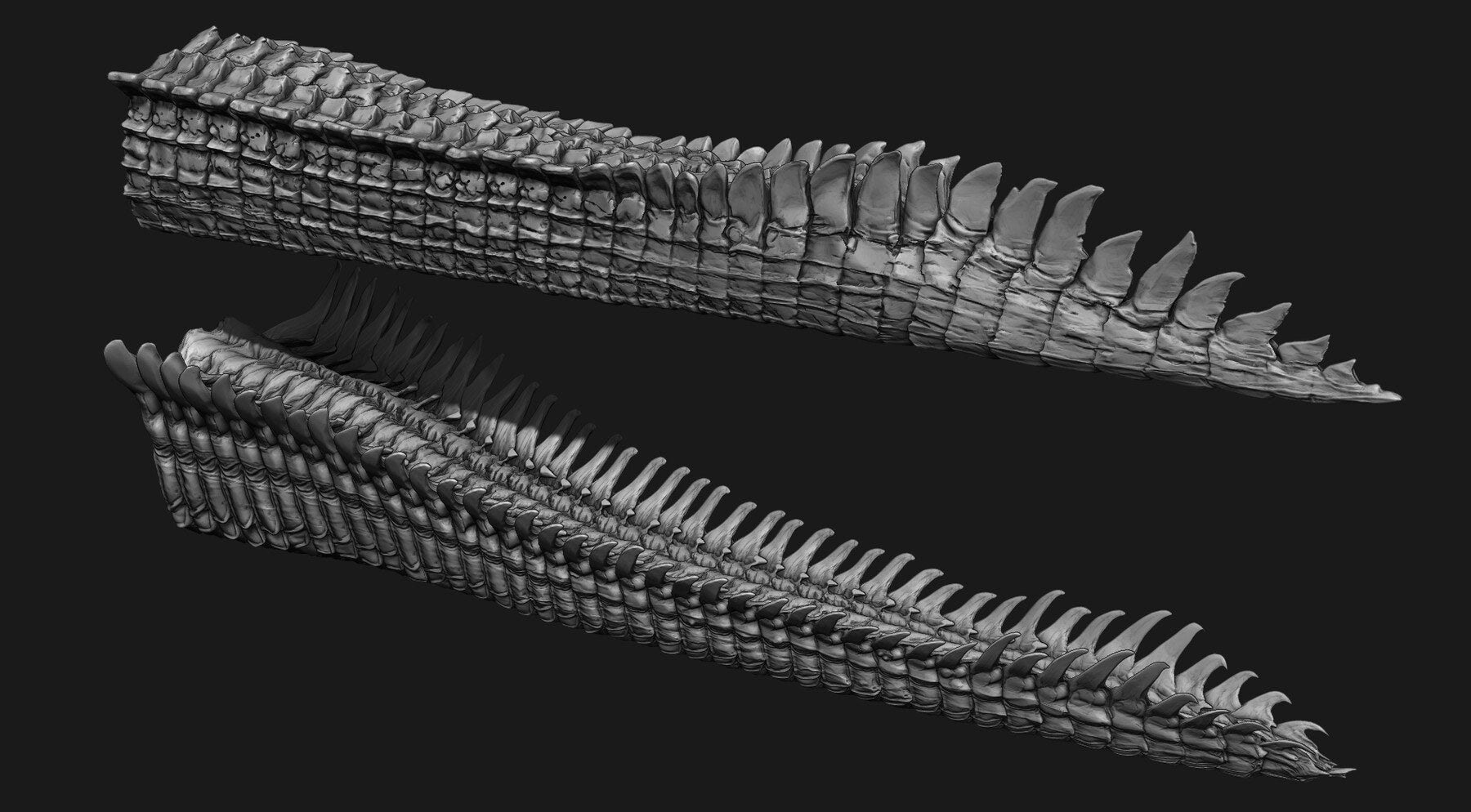 TAILS - 33 Tail Meshes & Curve Brushes