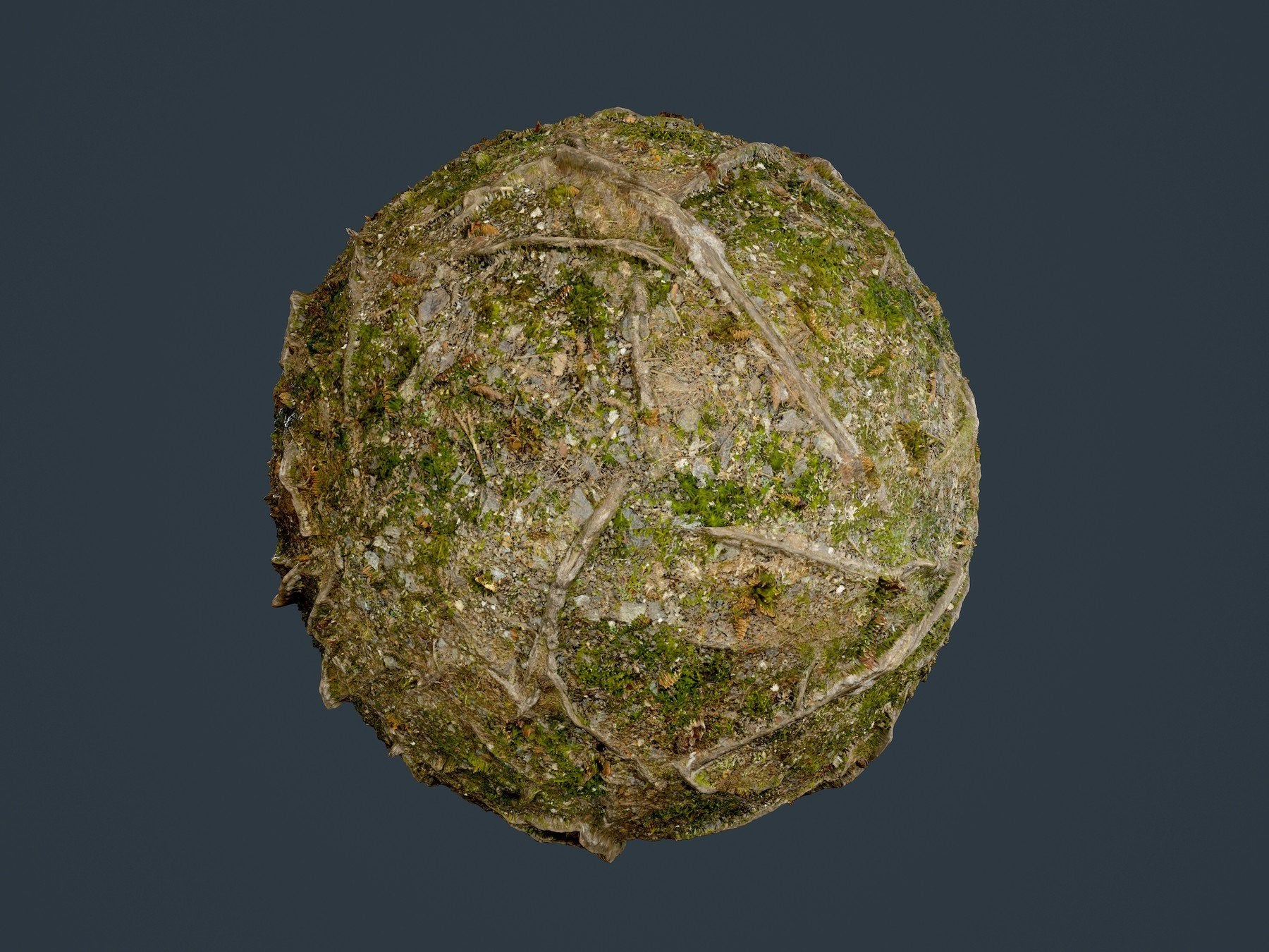 Forest Ground Tree Roots Seamless PBR Texture 10 – S3ART Store