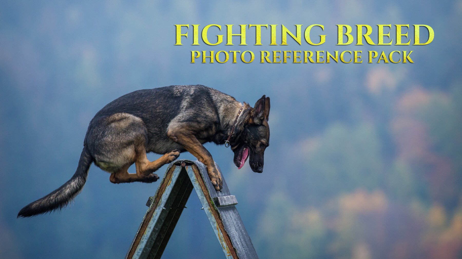 Fighting Breed - Reference Photo Pack For Artists 296 JPEGs