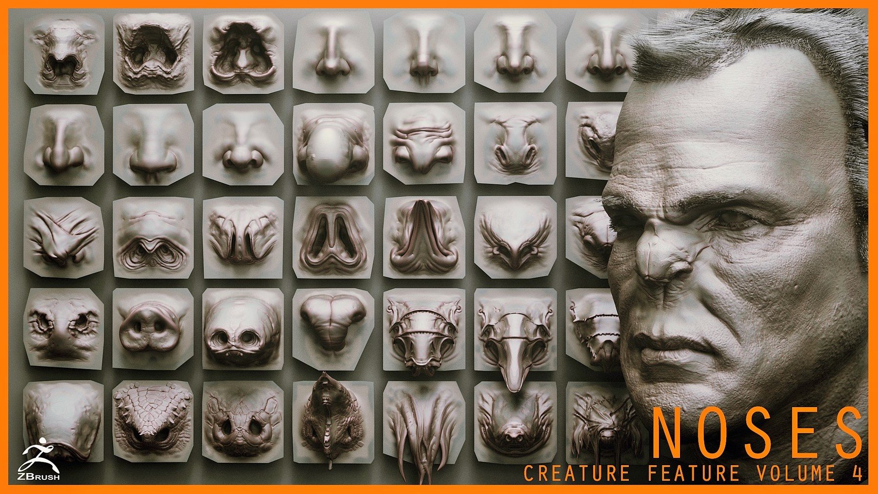 NOSES - 40 ZBrush VDM Nasal Areas