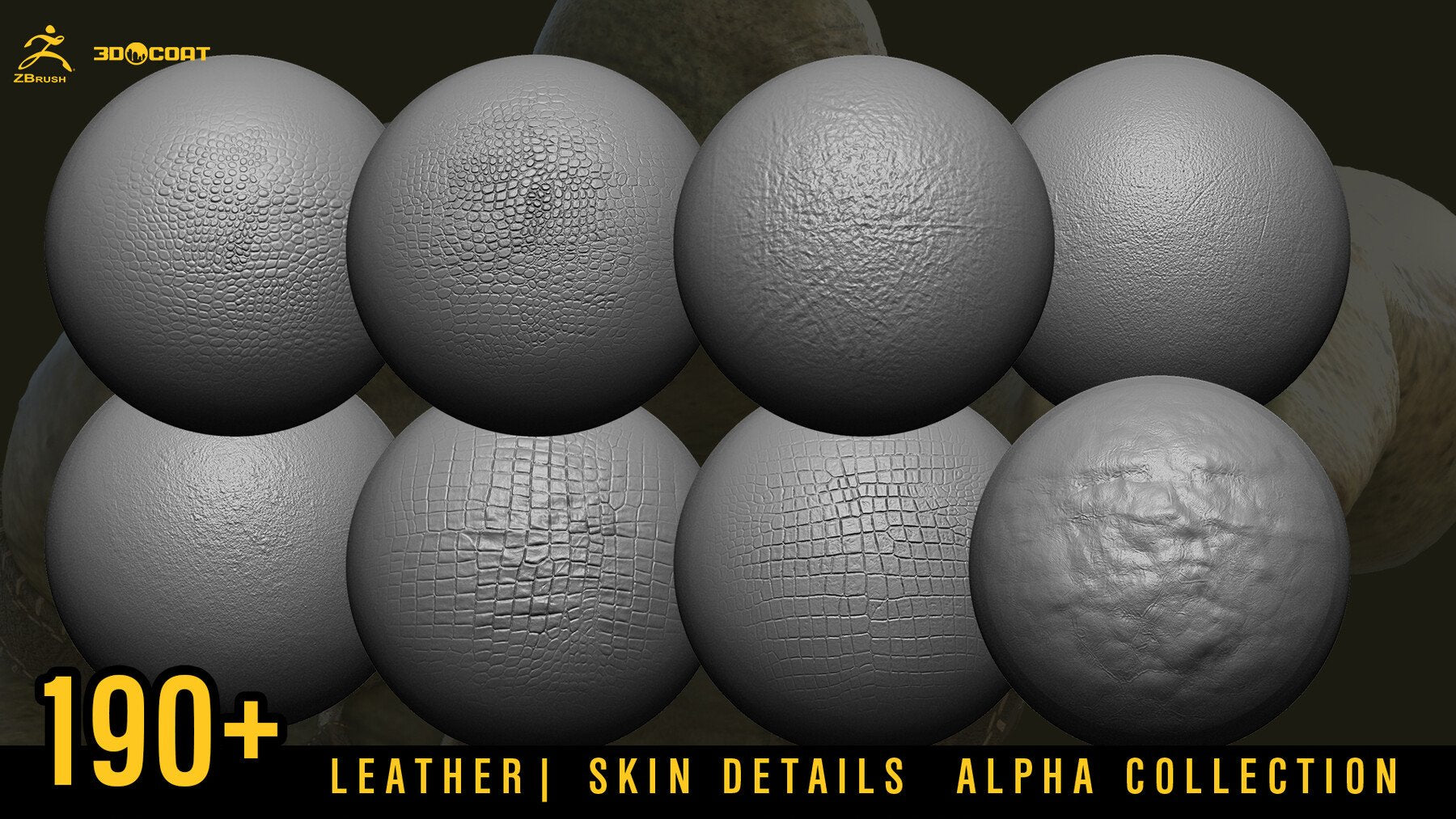 SKIN DETAILS ALPHA COLLECTION [DEMO TUTORIAL]