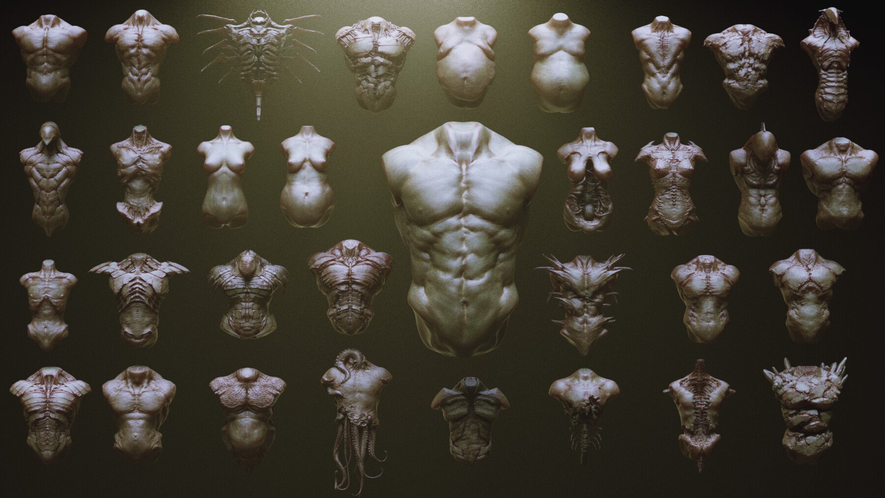 TORSOS - 33 Character & Creature Zbrush Insertmesh Brush