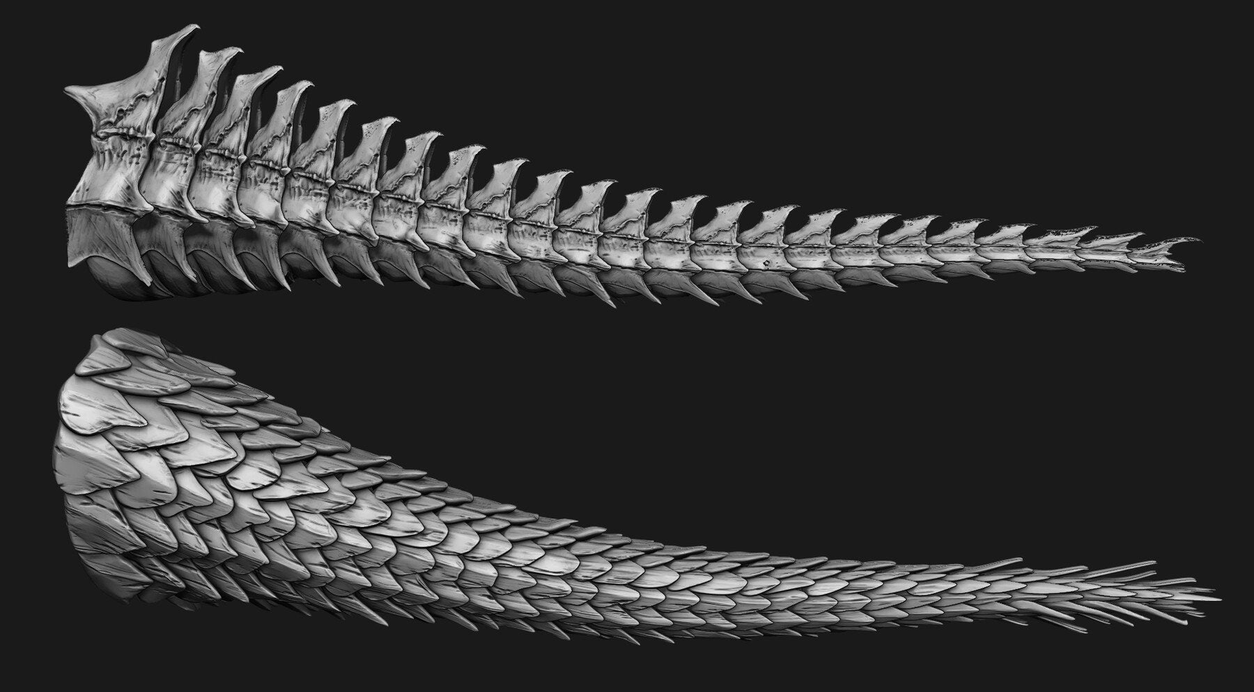 TAILS - 33 Tail Meshes & Curve Brushes