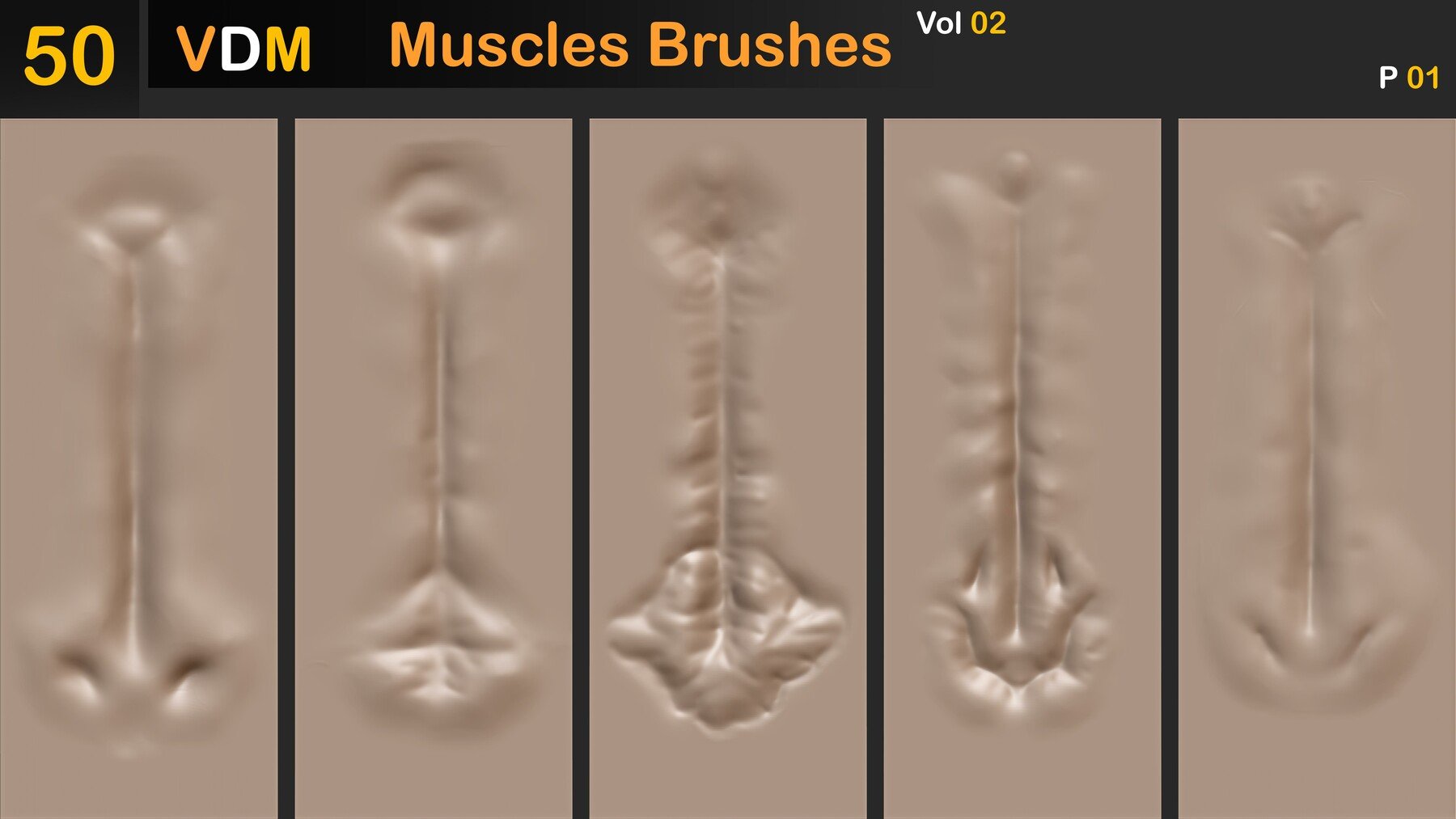 Muscles Brushes ( VDM ) Vol 02