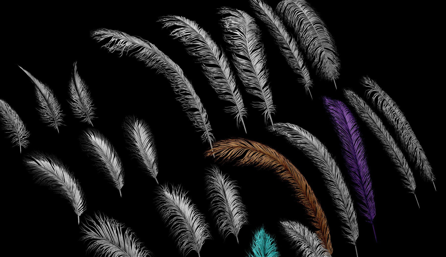 Soft Feathers IMM Brush + OBJs