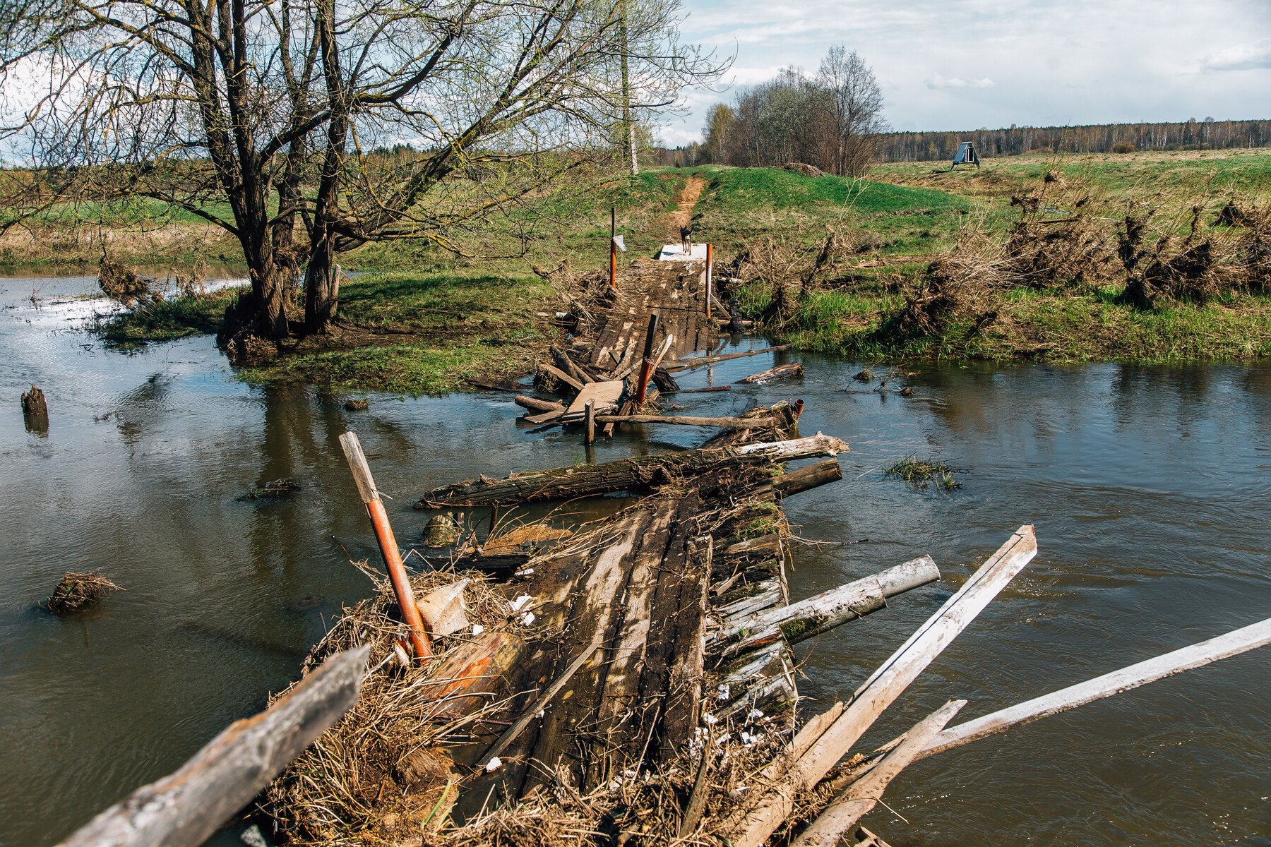 750+ Flowing Rivers Reference Pictures