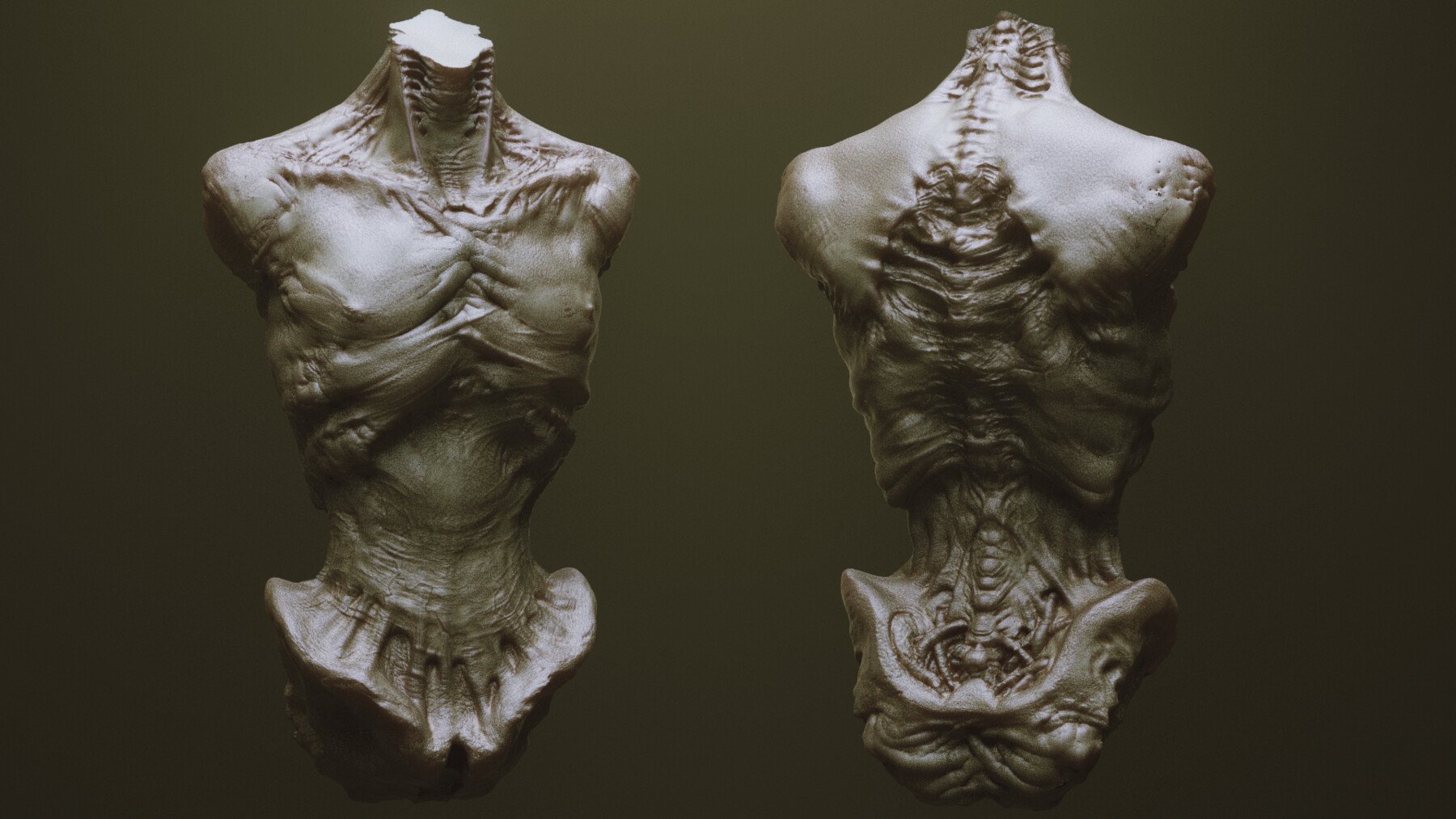 TORSOS - 33 Character & Creature Zbrush Insertmesh Brush