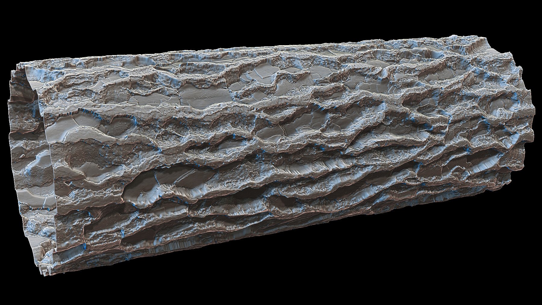 Ultra HQ Tree Bark Seamless Sculpt Zbrush brushes + Alphas (Blender, Substance, etc.) Vol.1