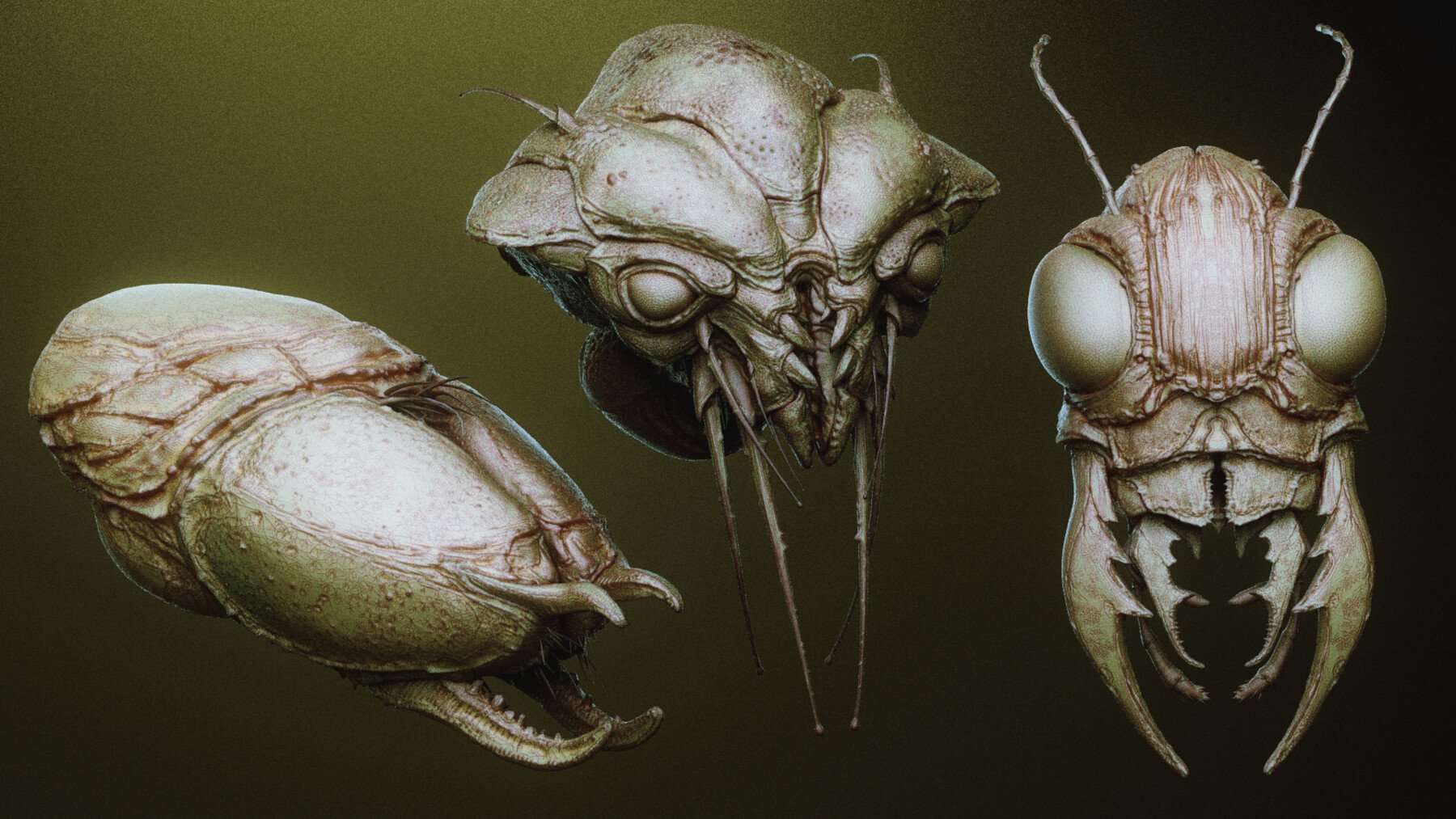 iNSEKt : 150+ Kitbash Insectoid Monster Parts