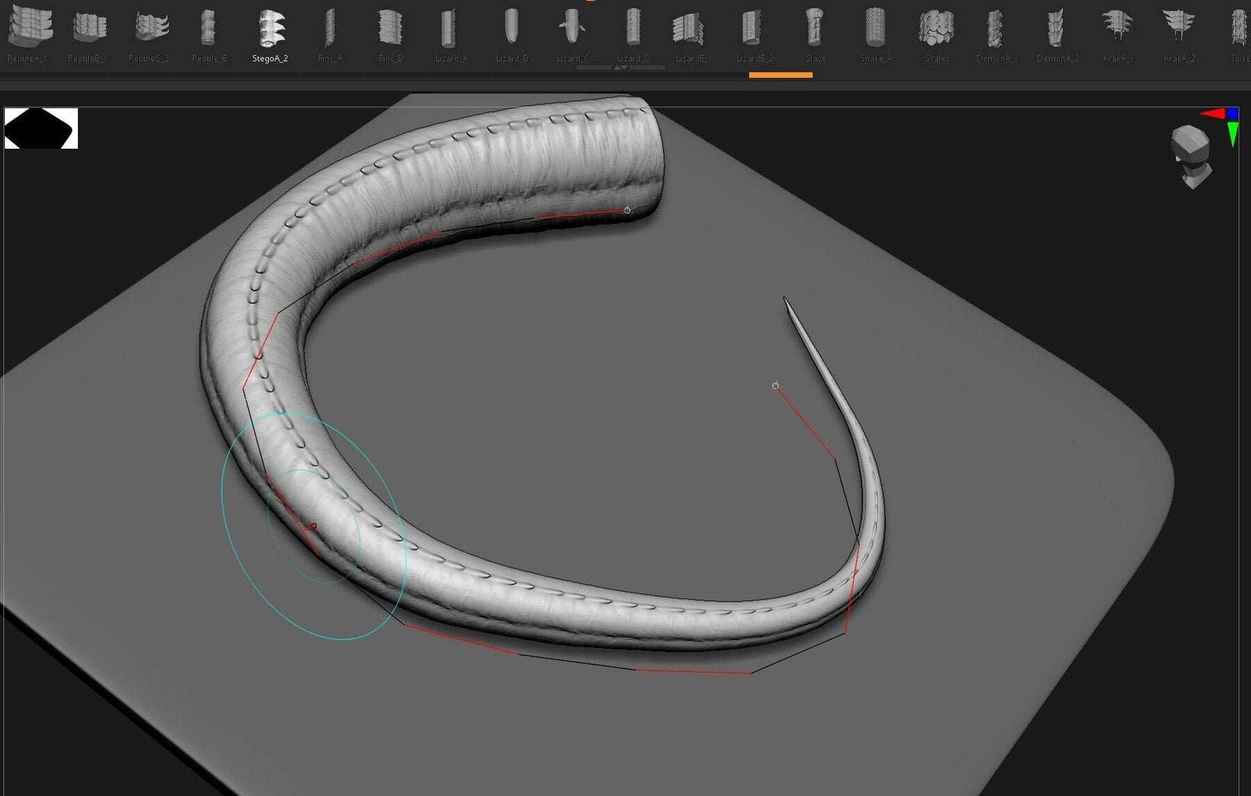 TAILS - 33 Tail Meshes & Curve Brushes