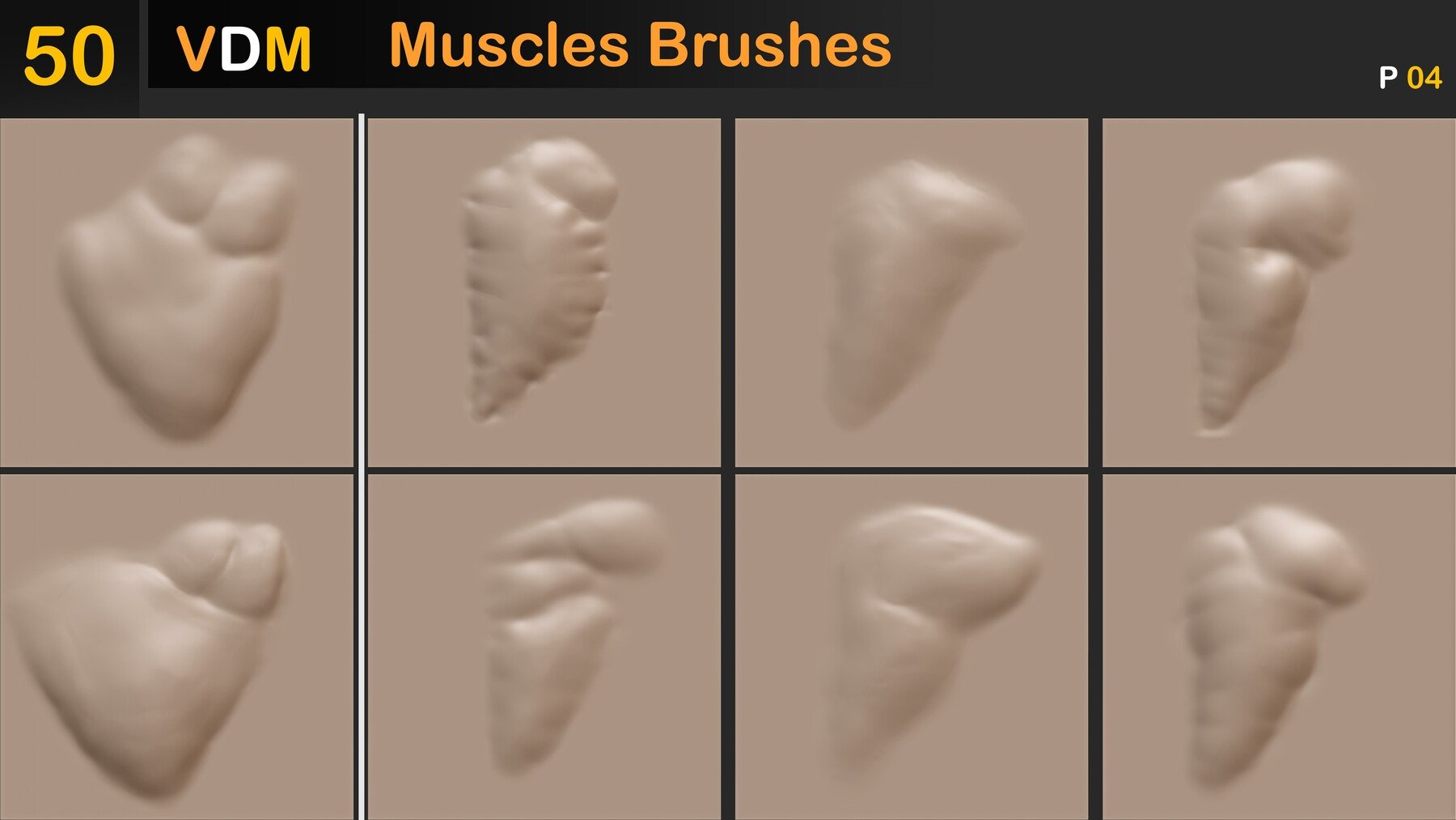 Muscles Brushes ( VDM ) Vol 02