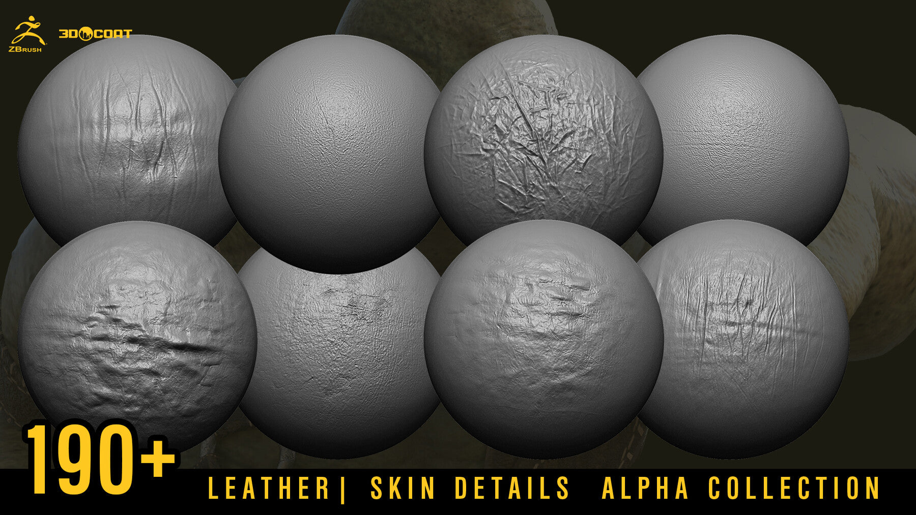 SKIN DETAILS ALPHA COLLECTION [DEMO TUTORIAL]