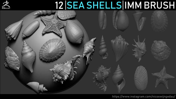 Zbrush - 12 Seashells IMM Brush