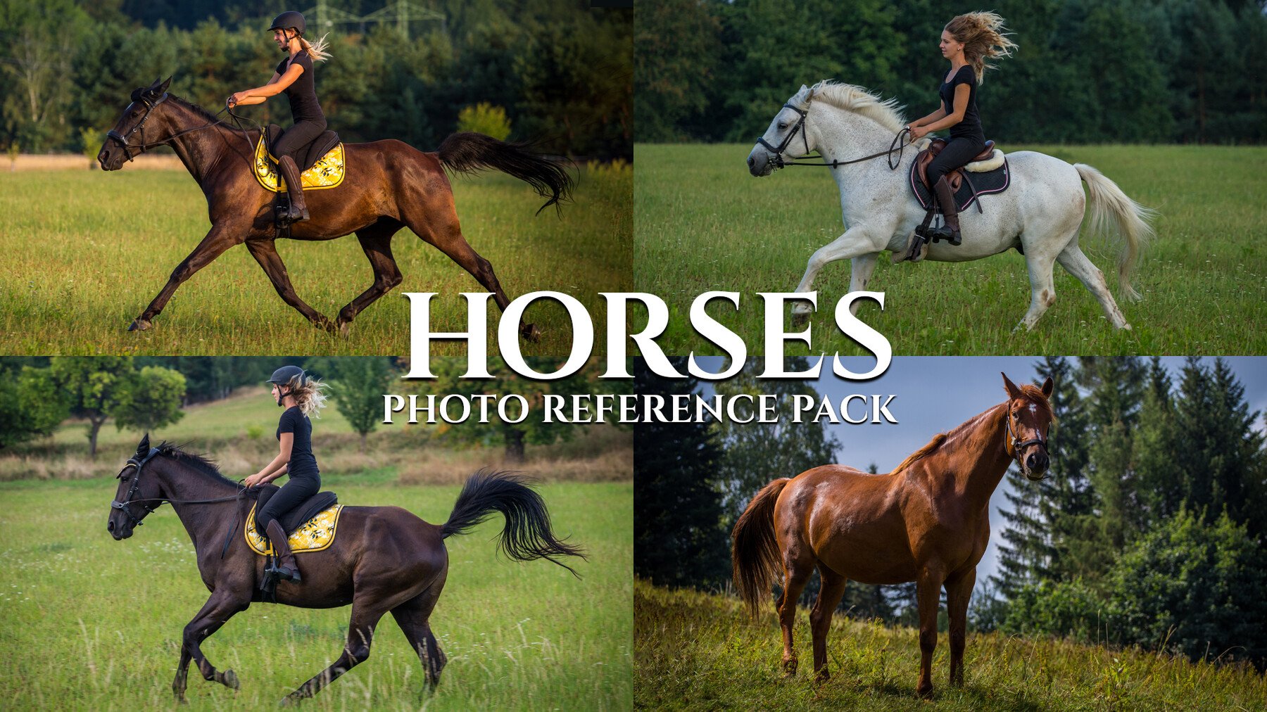 Horses - Reference Photo Pack For Artists 397 JPEGs