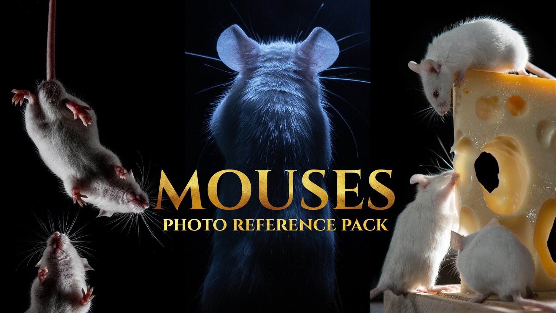 Mice - Photo Reference Pack For Artists 357 JPEGs