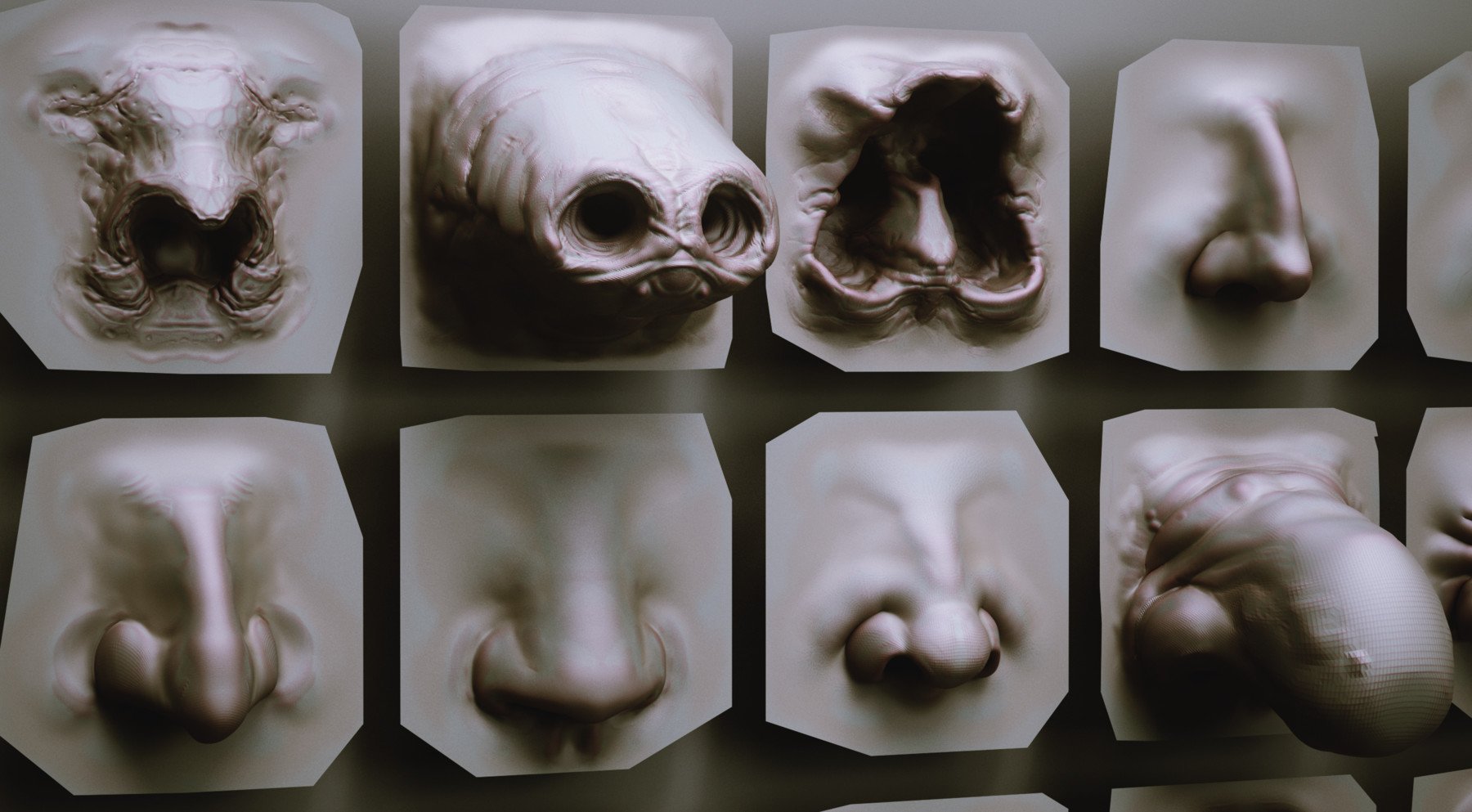 NOSES - 40 ZBrush VDM Nasal Areas