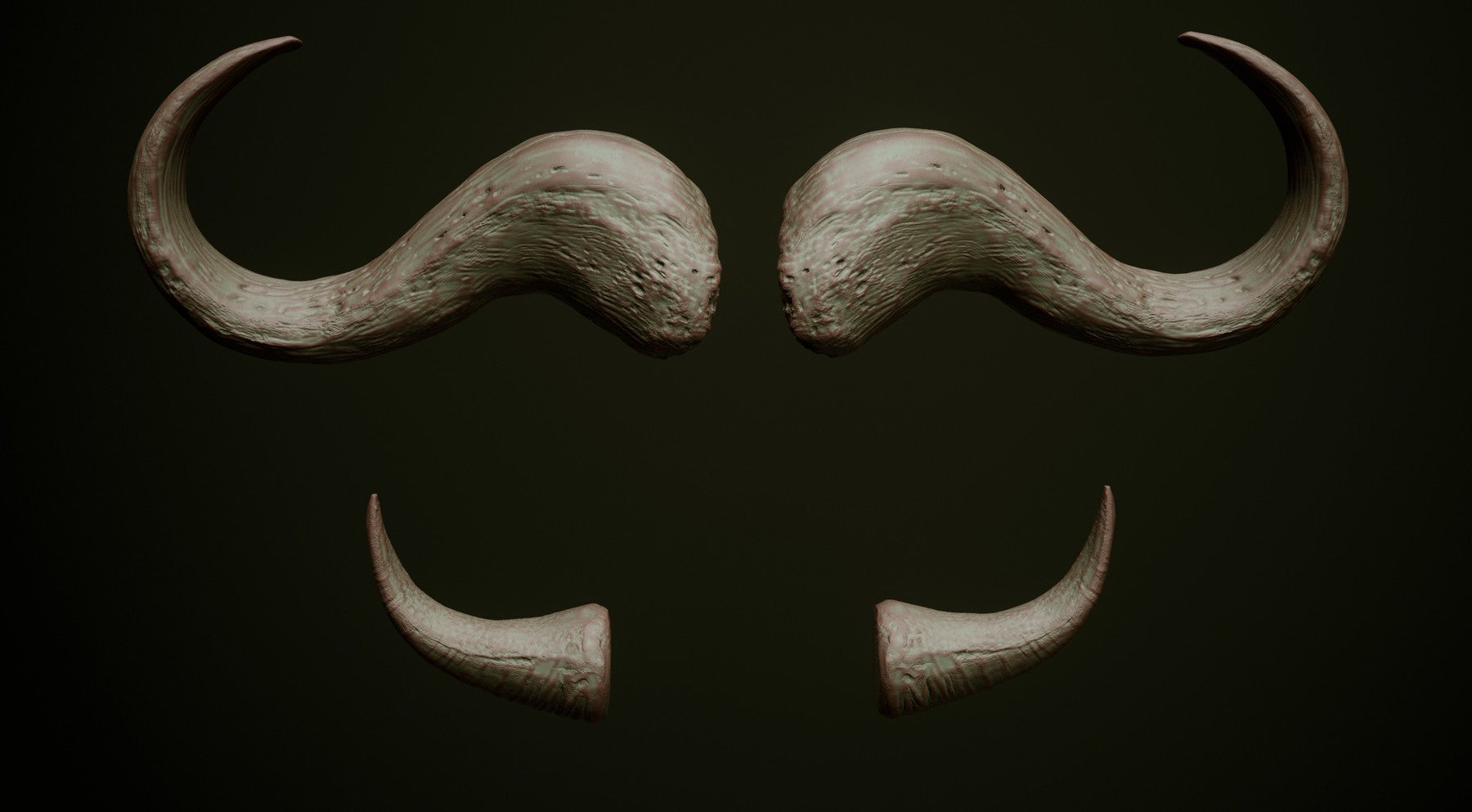 HORNS - 60 Horns, Antlers, Frills & Horn Sockets IMM + VDM