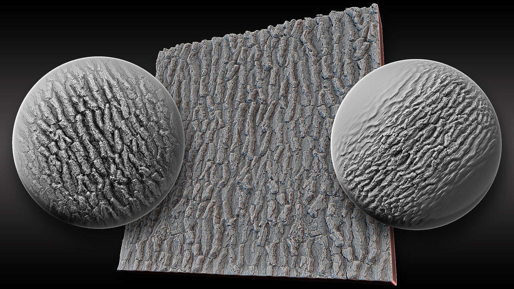 Ultra HQ Tree Bark Seamless Sculpt Zbrush brushes + Alphas (Blender, Substance, etc.) Vol.1