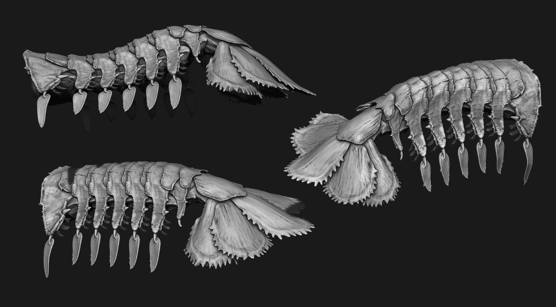 TAILS - 33 Tail Meshes & Curve Brushes