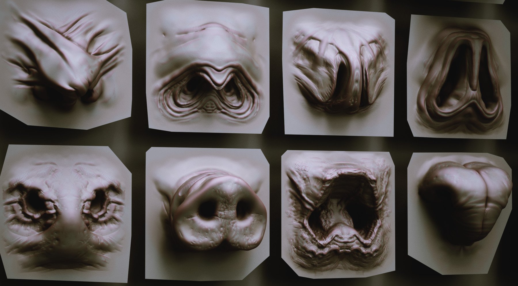 NOSES - 40 ZBrush VDM Nasal Areas