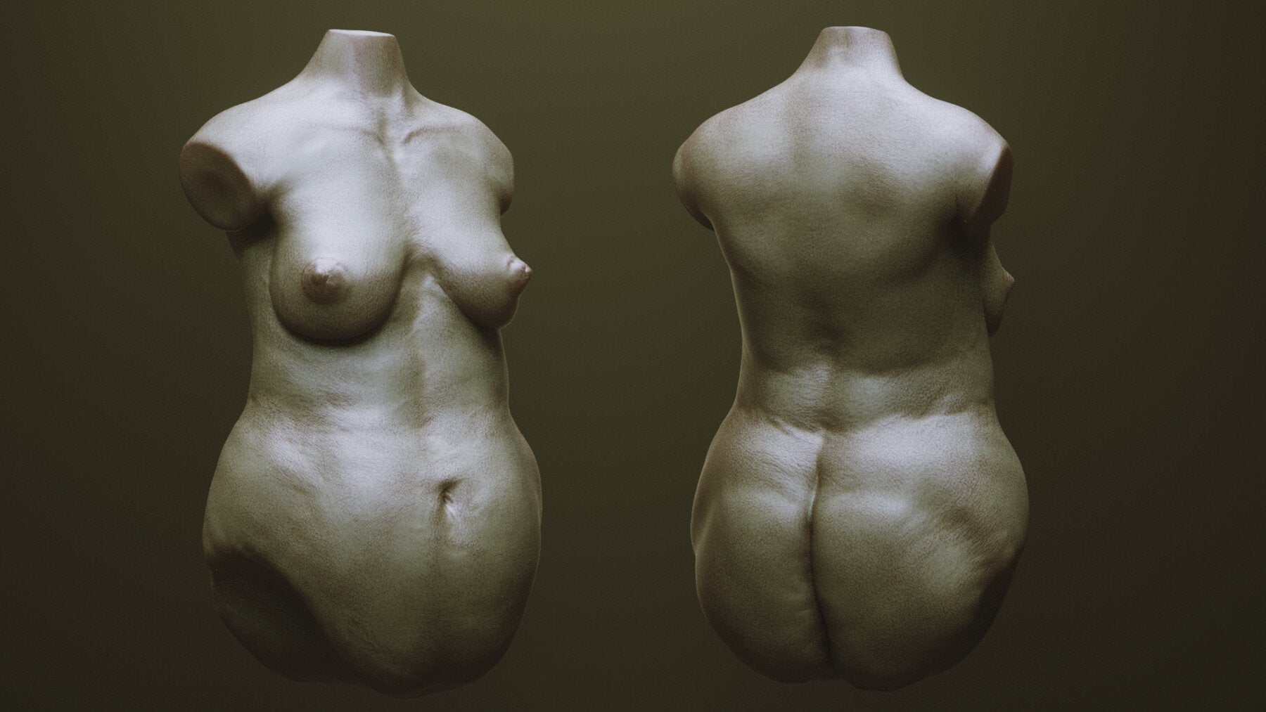 TORSOS - 33 Character & Creature Zbrush Insertmesh Brush