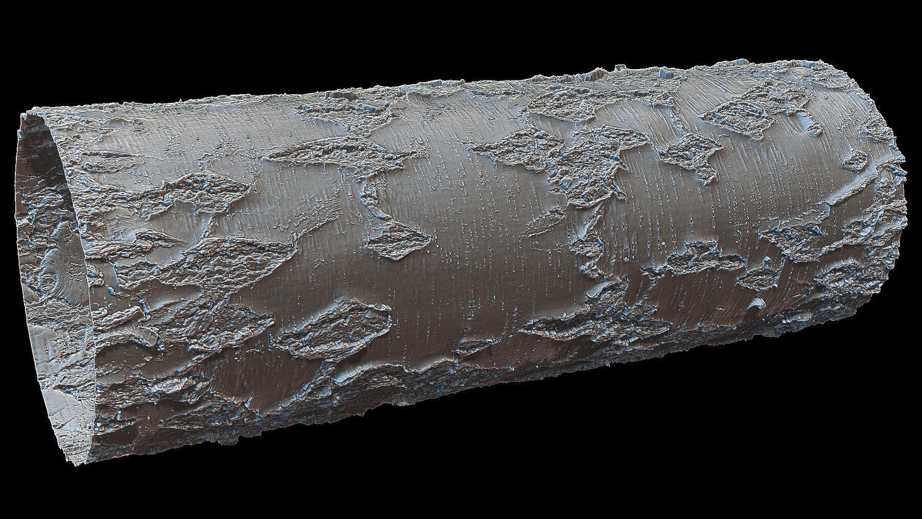 Ultra HQ Tree Bark Seamless Sculpt Zbrush brushes + Alphas (Blender, Substance, etc.) Vol.1