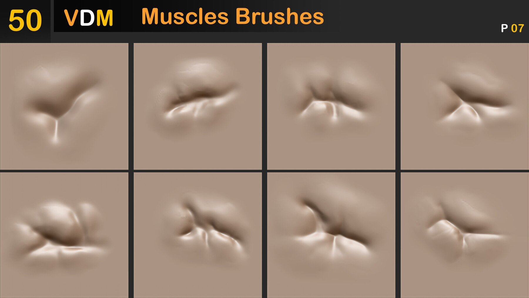 Muscles Brushes ( VDM ) Vol 02