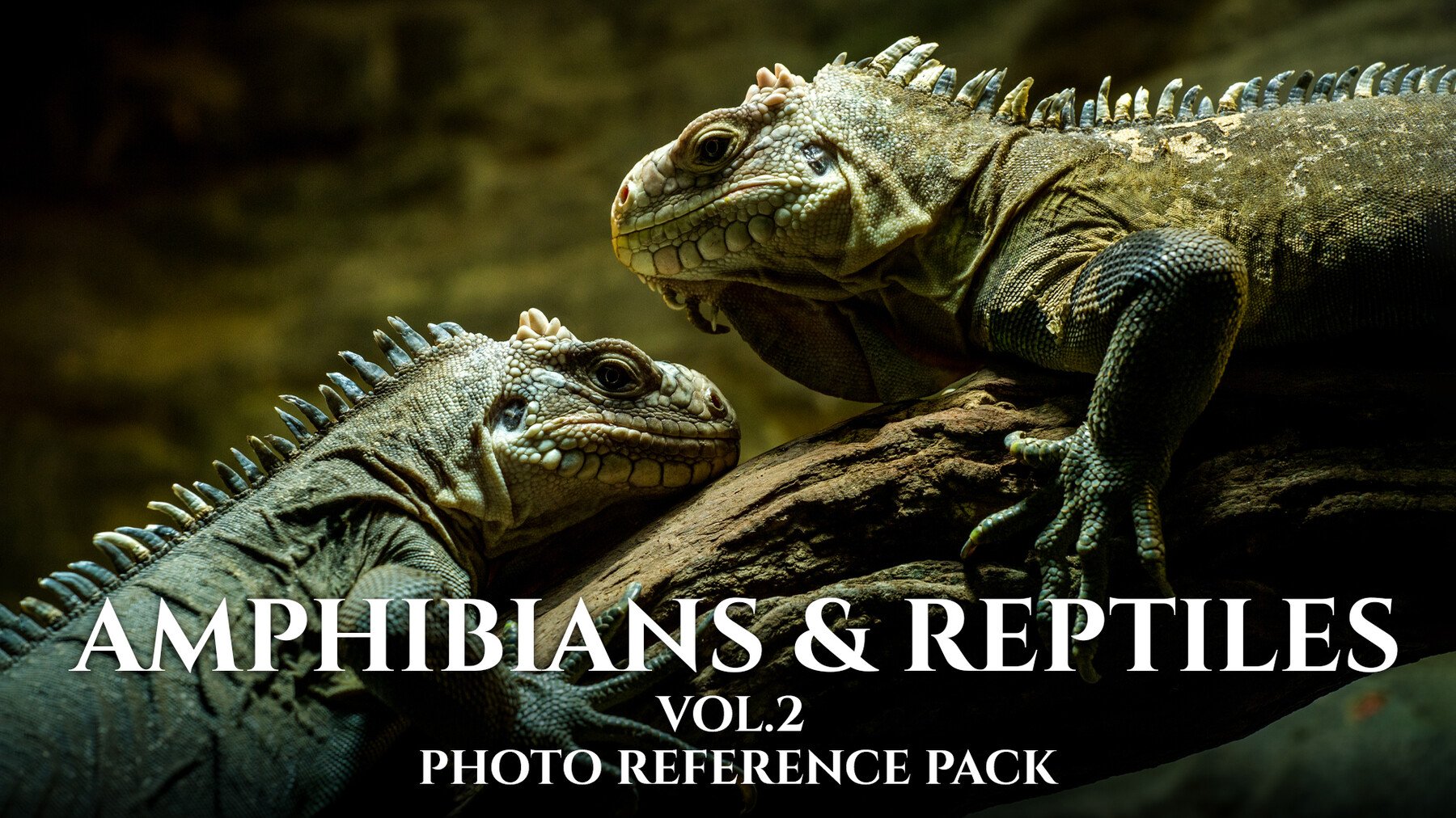 Amphibians & Reptiles vol.2- Photo Referecne Pack For Artists 432 JPEGs