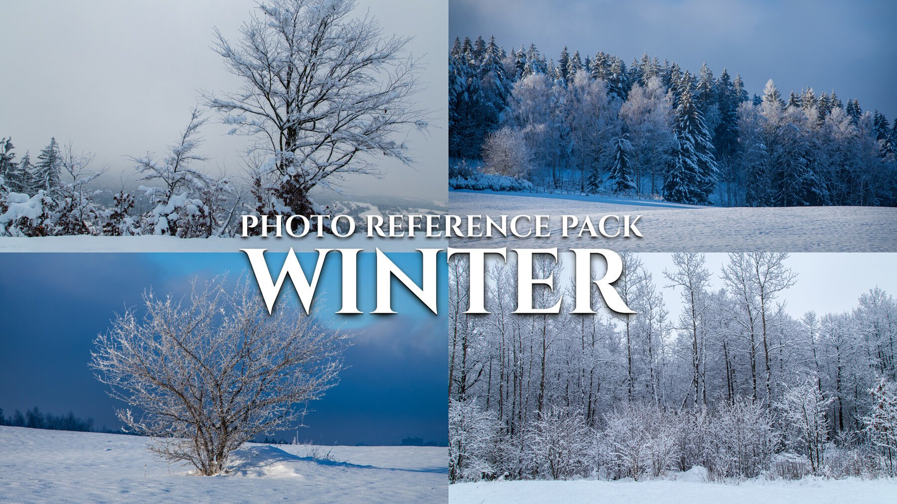 Winter - Reference Photo Pack For Artists 511 JPEGs