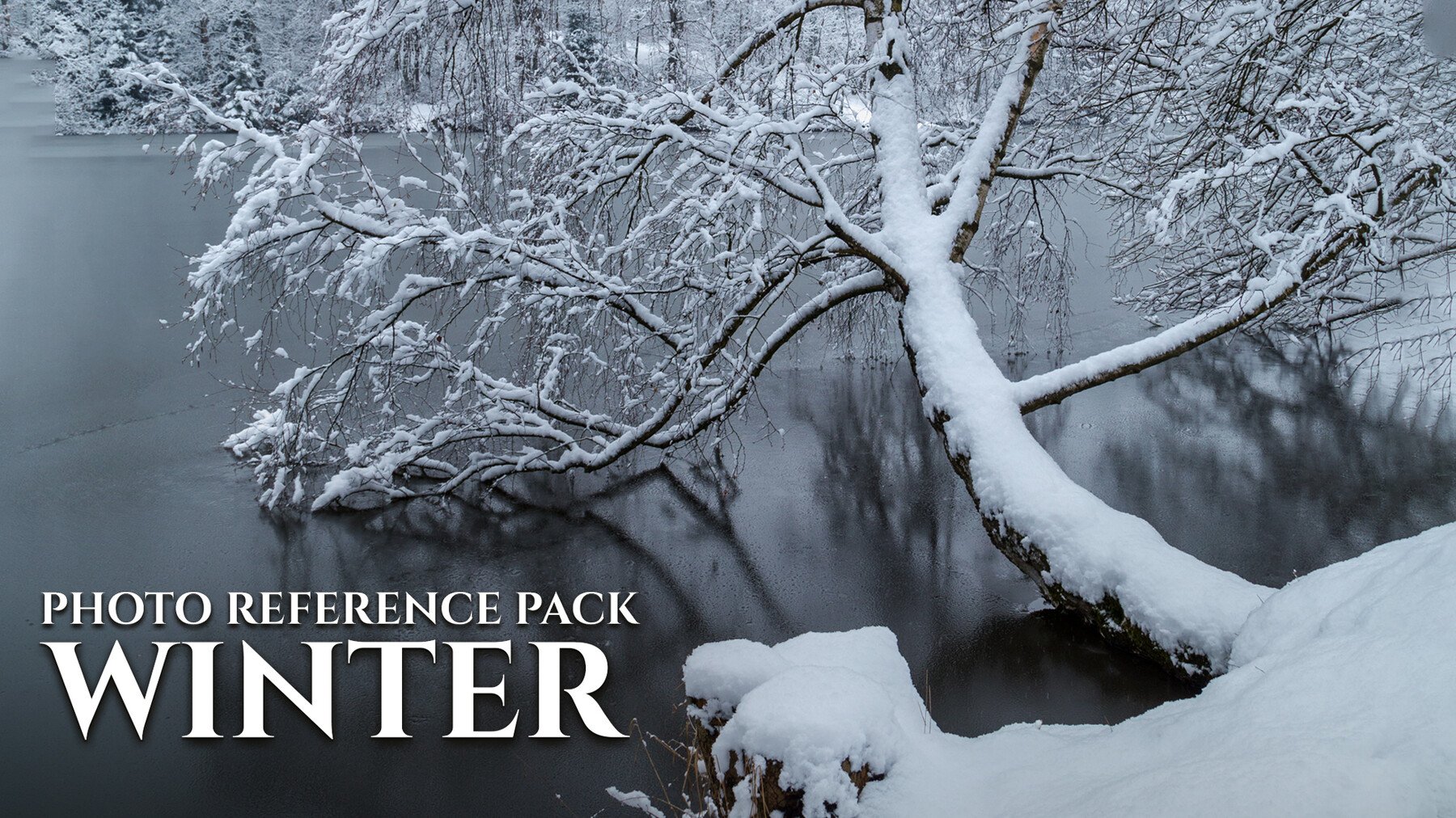 Winter - Reference Photo Pack For Artists 511 JPEGs