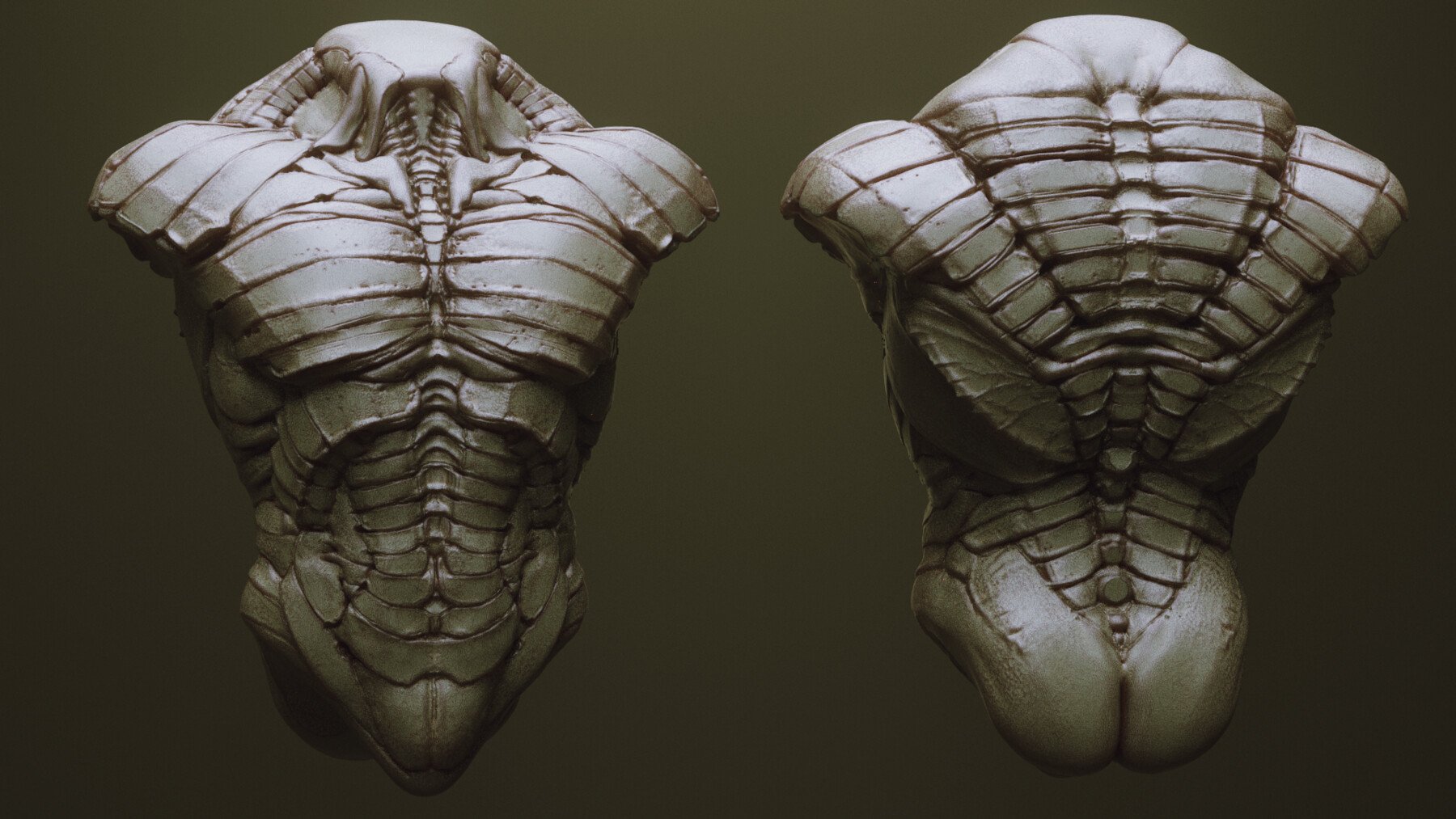 TORSOS - 33 Character & Creature Zbrush Insertmesh Brush