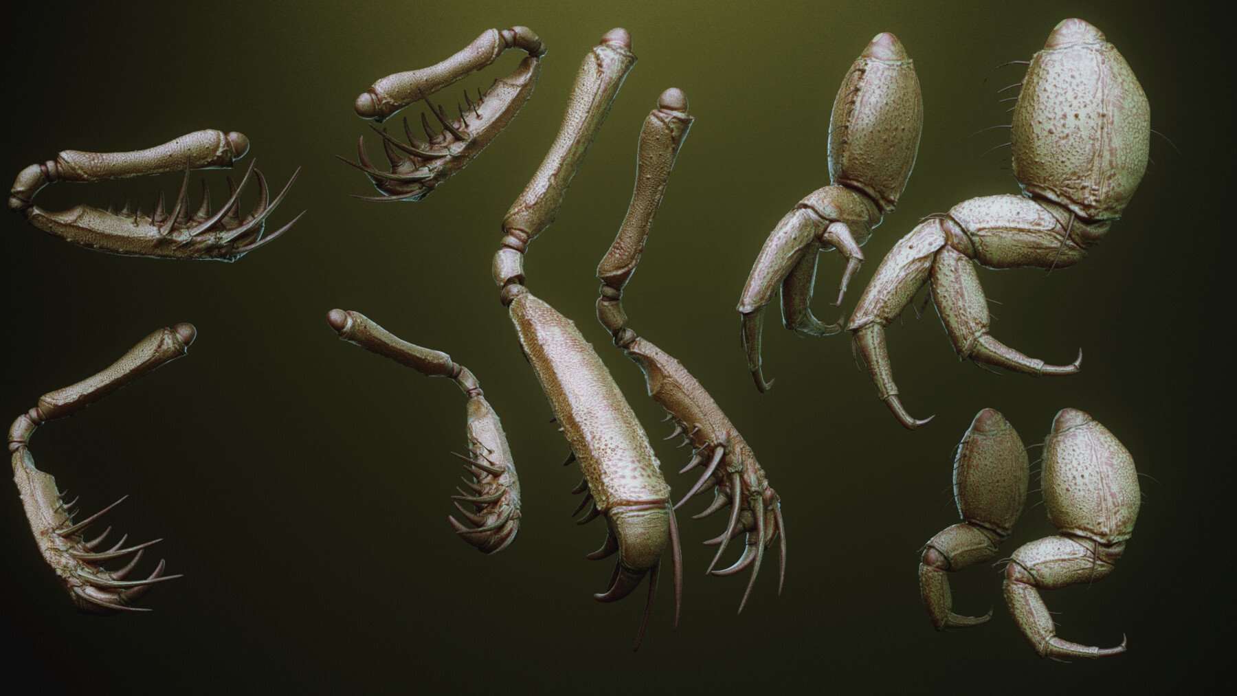 iNSEKt : 150+ Kitbash Insectoid Monster Parts