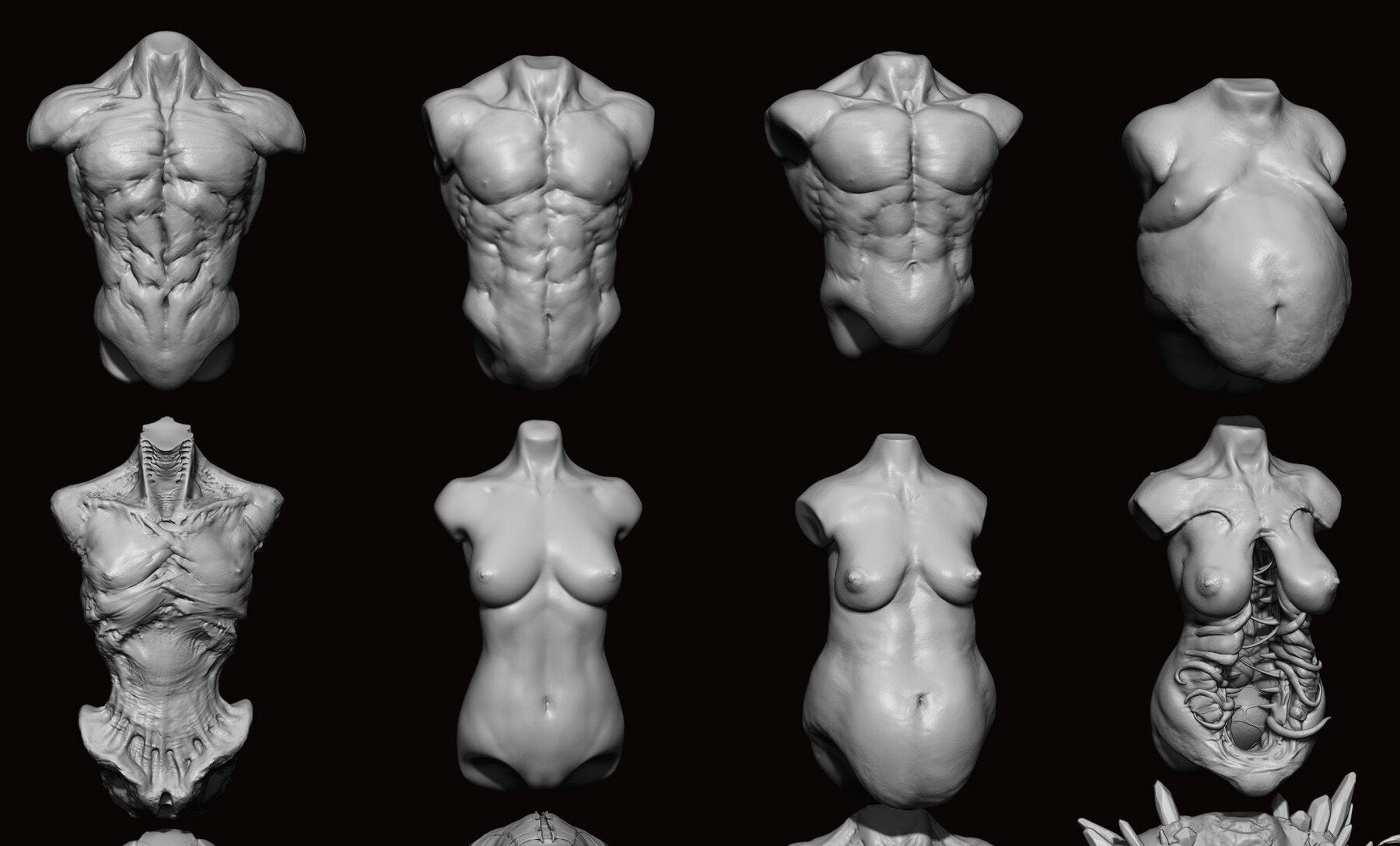 TORSOS - 33 Character & Creature Zbrush Insertmesh Brush