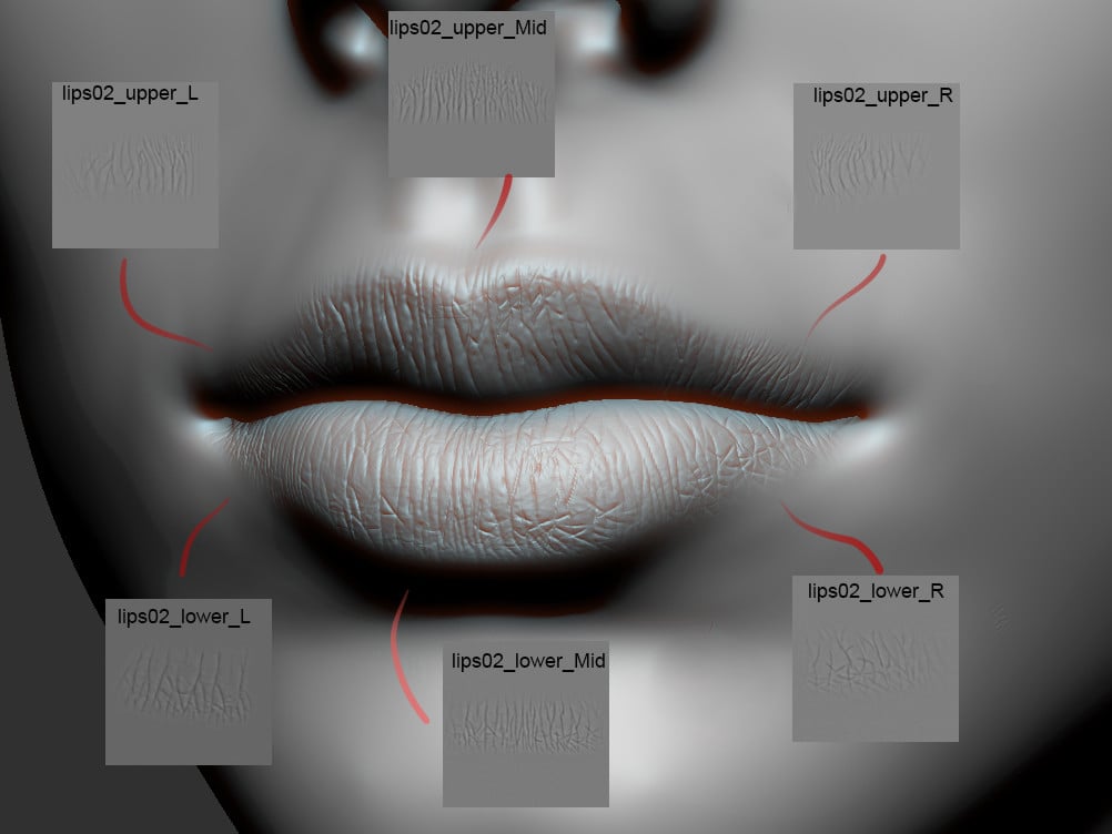 Lips Detail Alpha Pack (zbrush, blender, 3dcoat, substance)