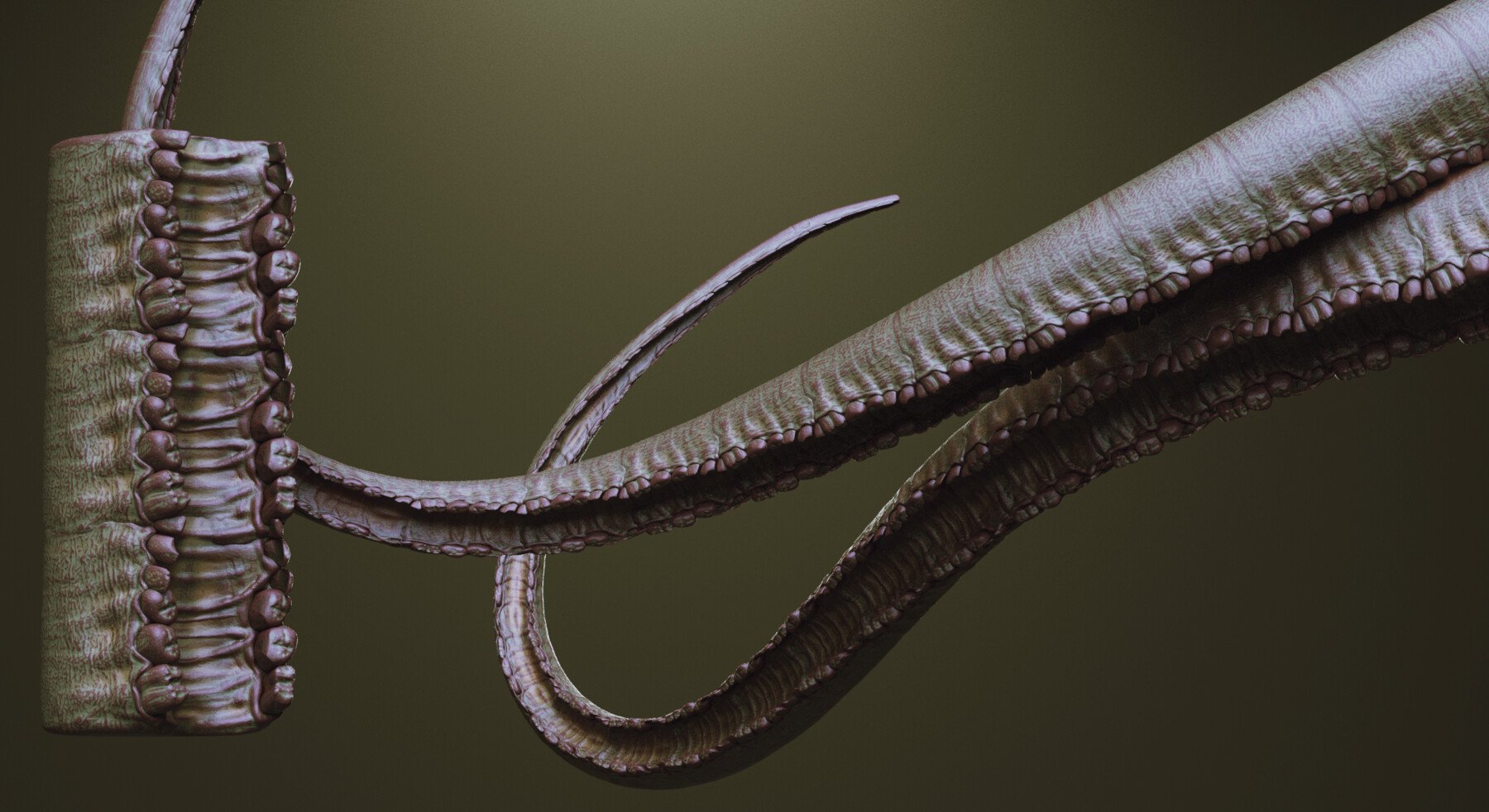 TENTACLES - 40+ in ZBrush brushes and OBJs