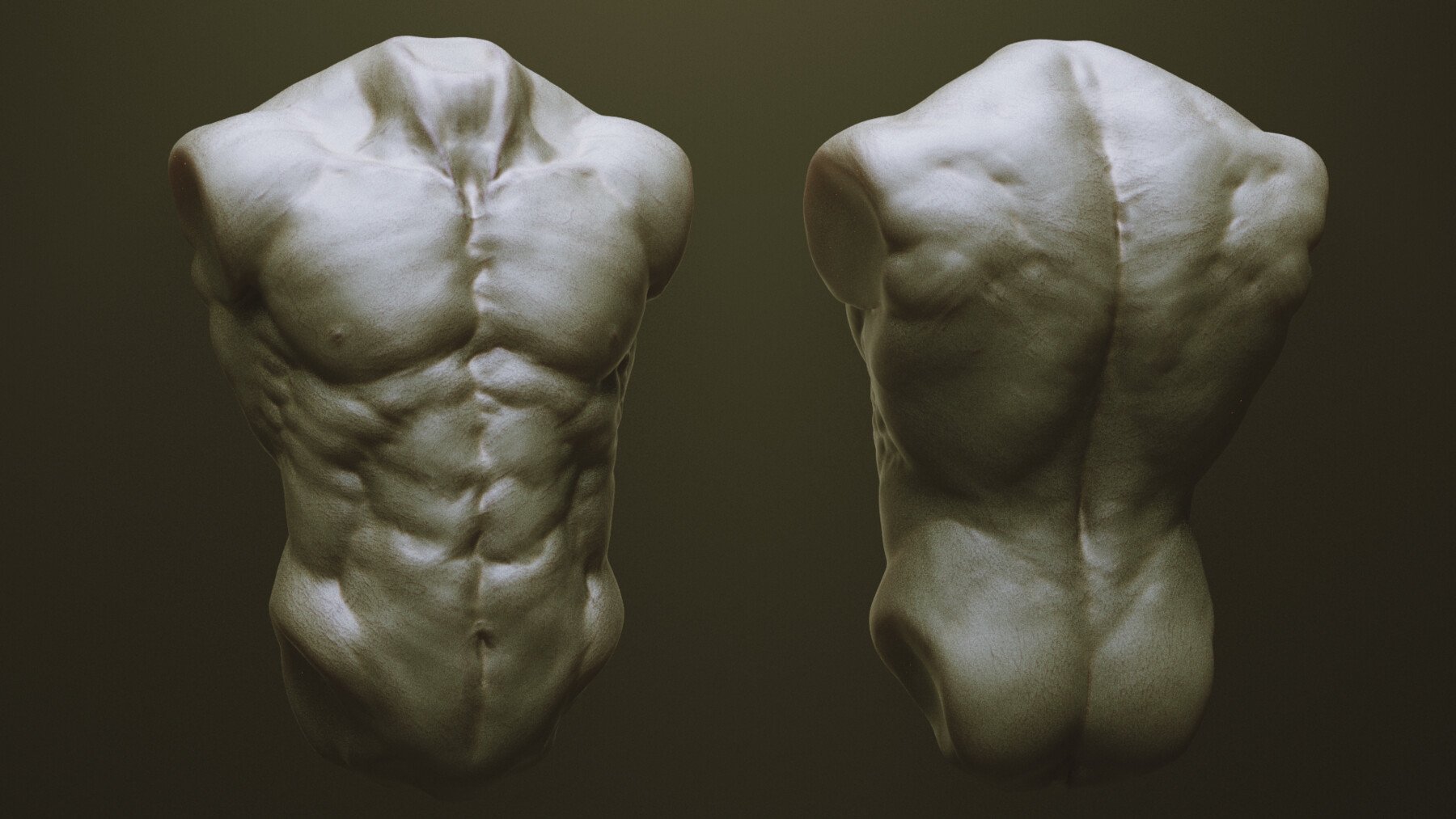 TORSOS - 33 Character & Creature Zbrush Insertmesh Brush