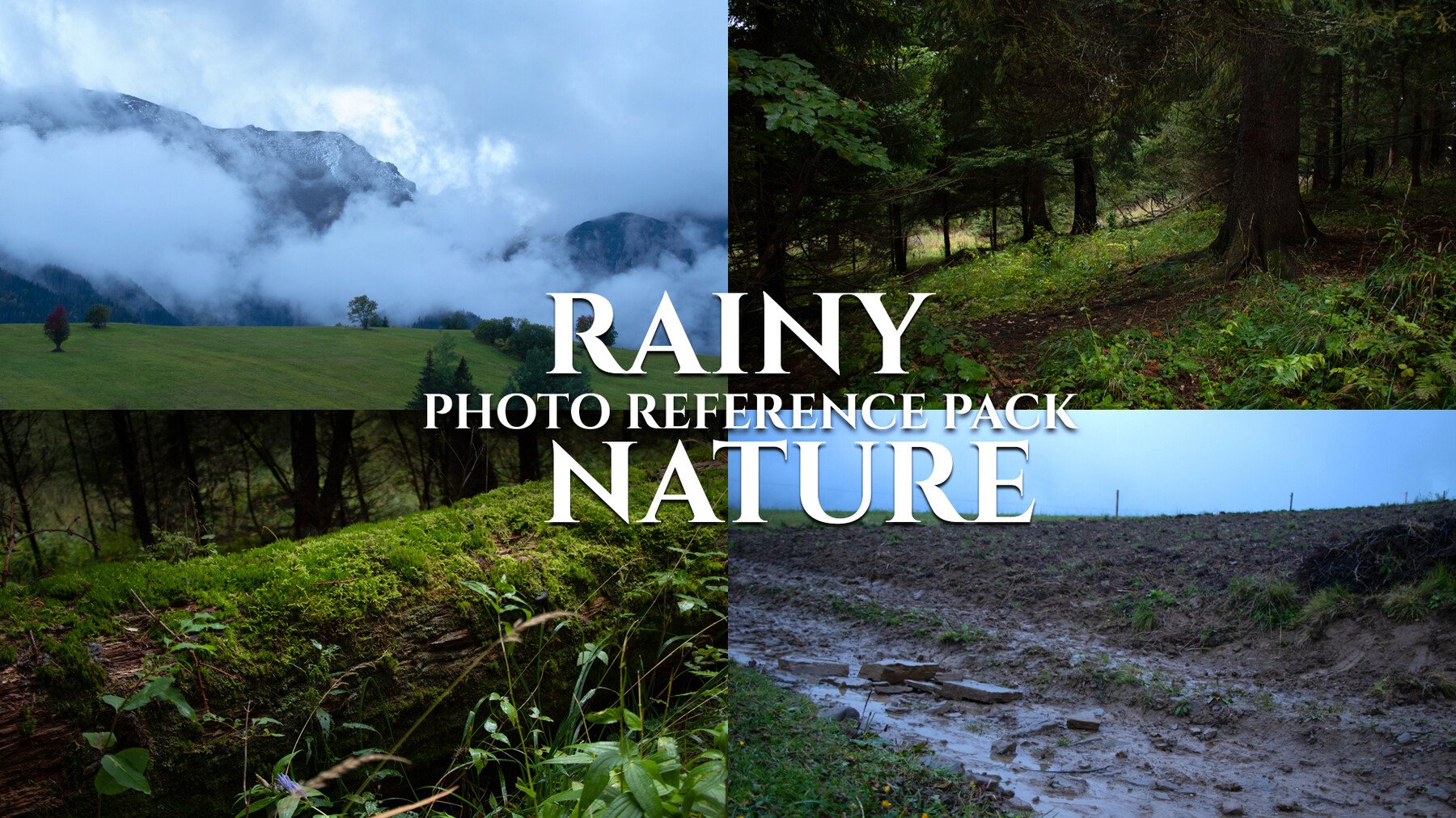 Rainy Nature - Photo Reference Pack For Artists 180 JPEGs